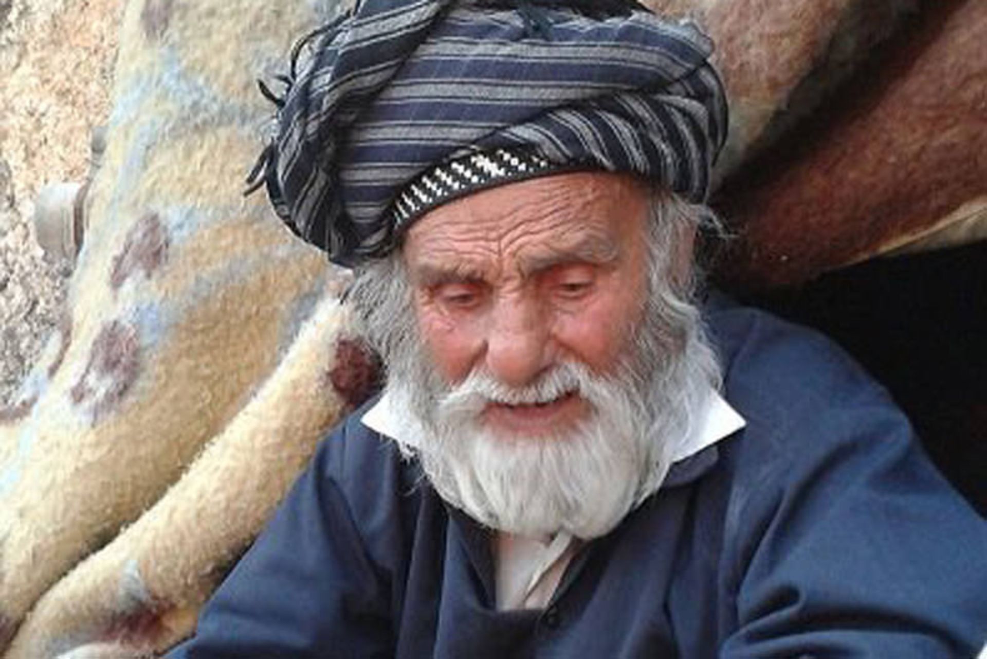 فرهاد ثانی