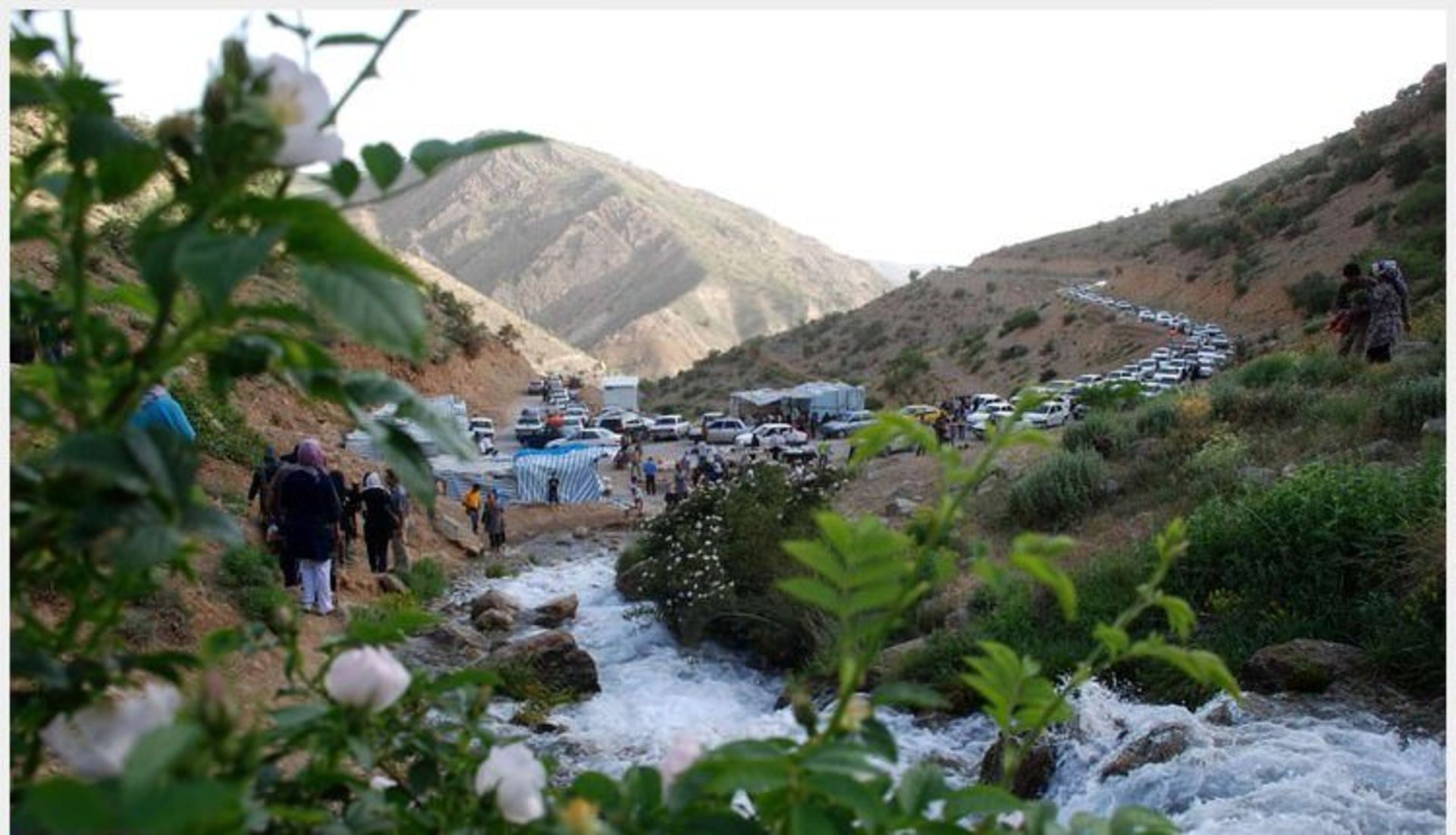 چشمه میشی