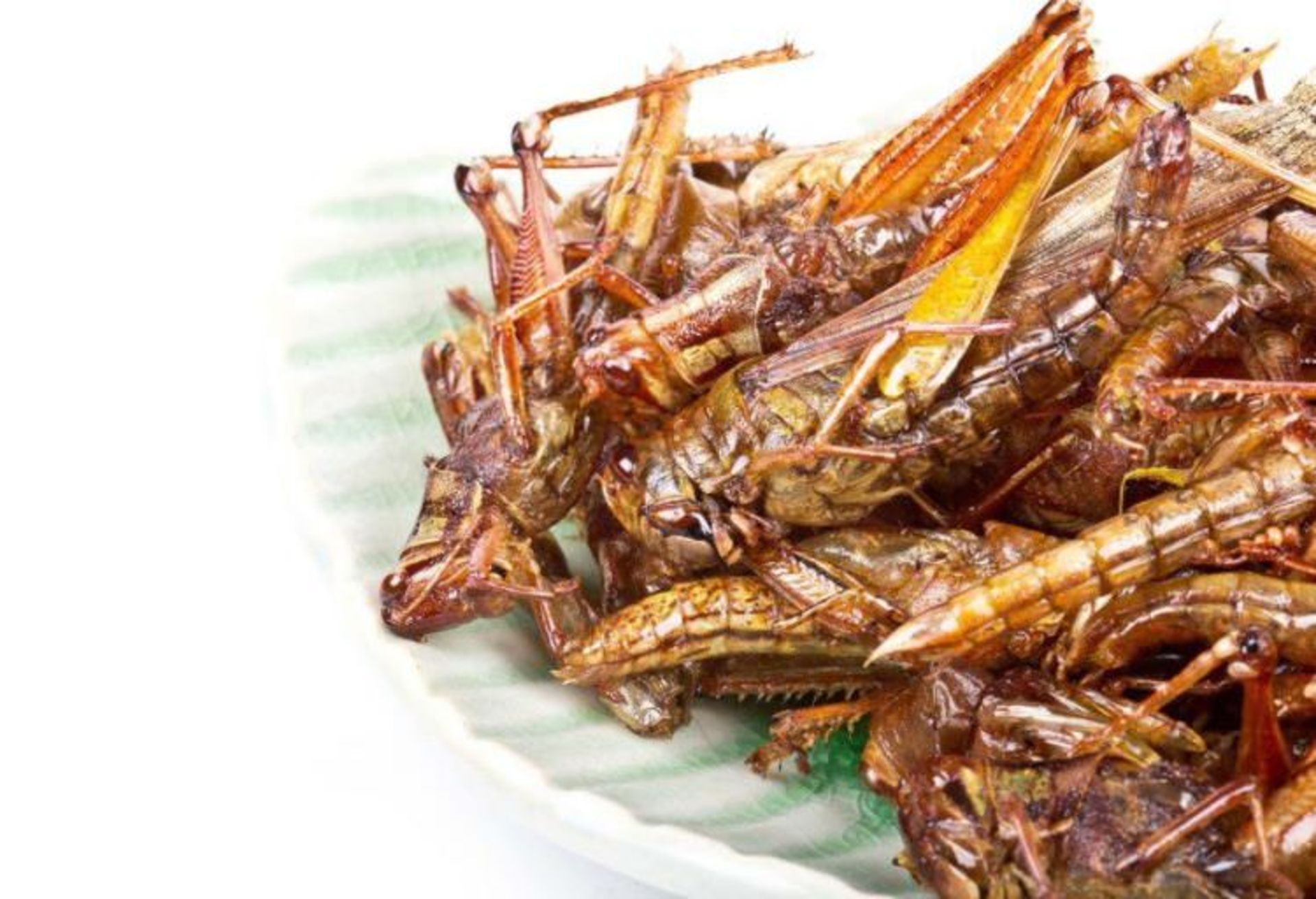 ملخ خوراکی