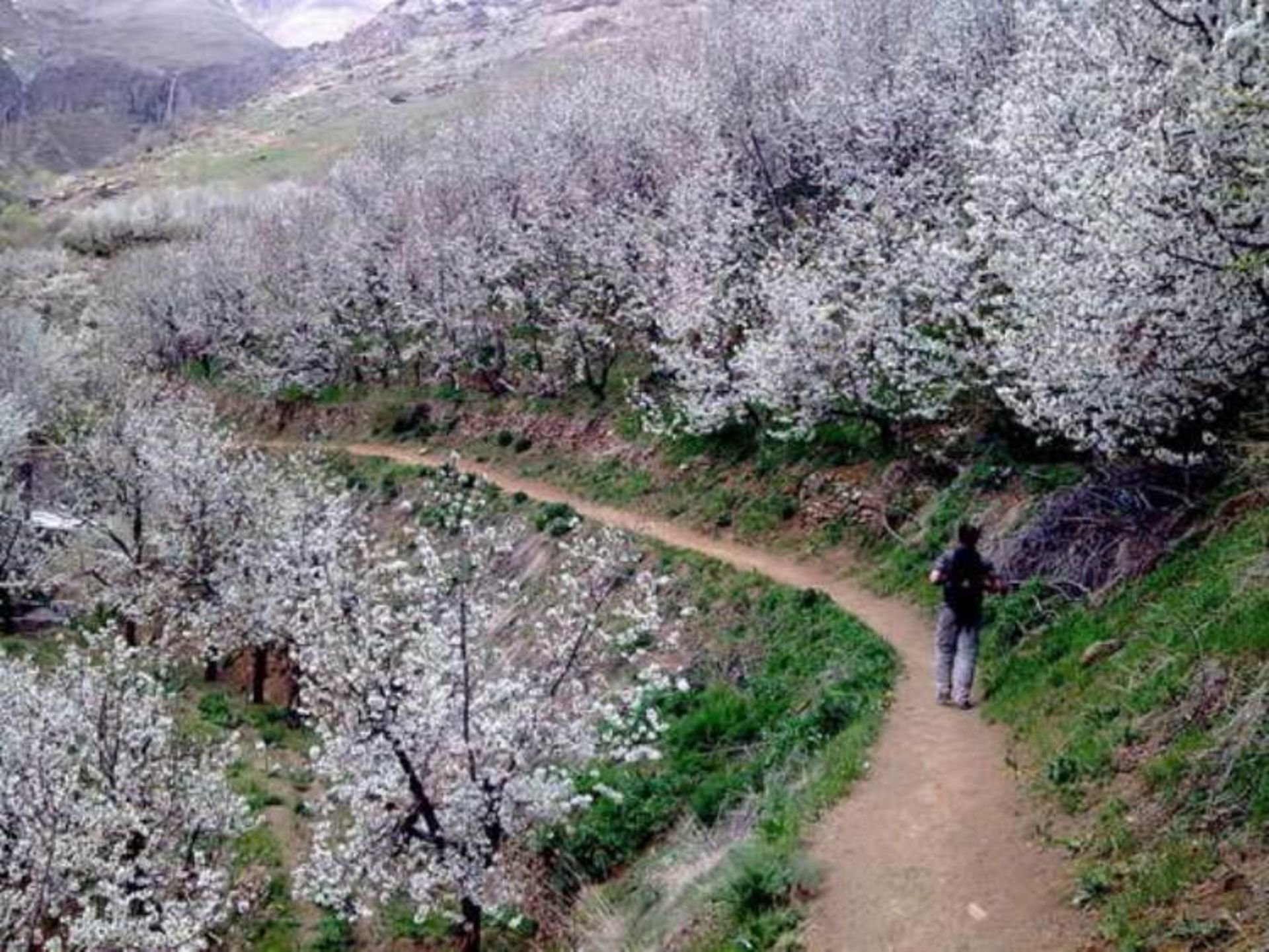 روستا و آبشار سنگان