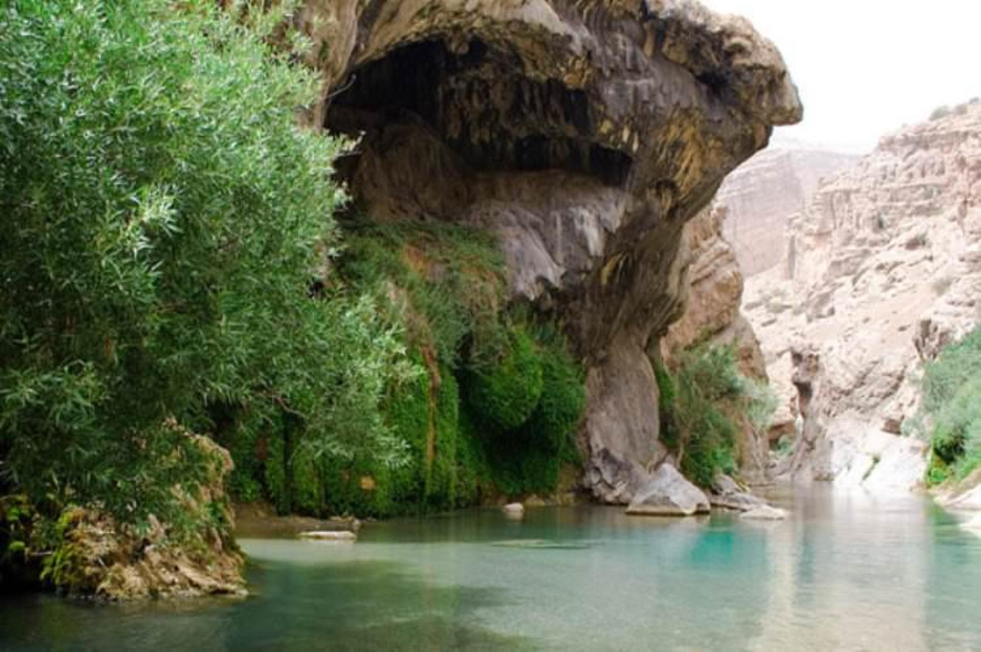 آب ملخ