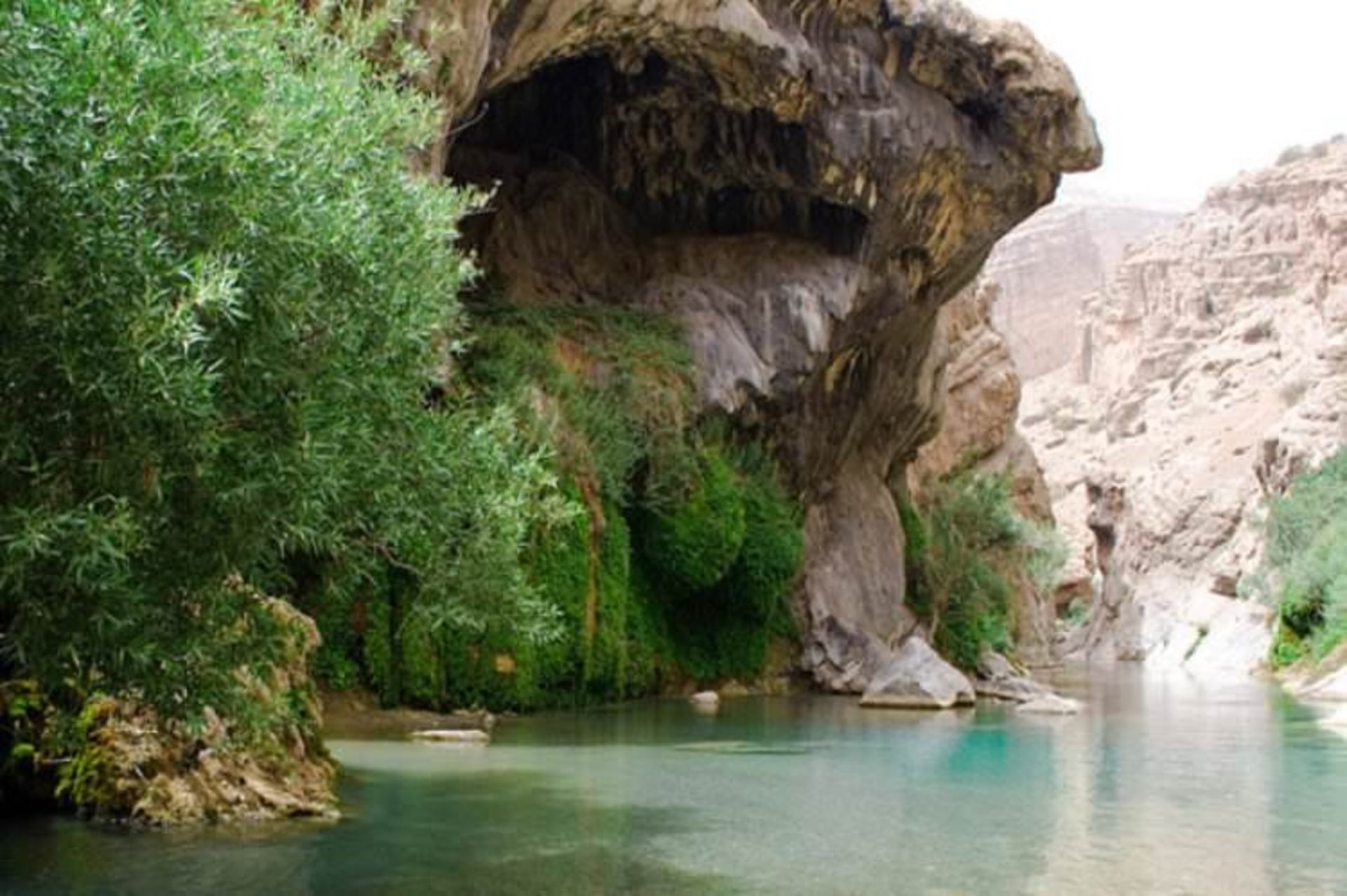 آب ملخ