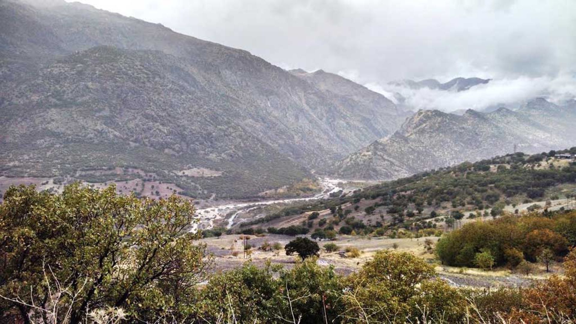 عکاسباشی