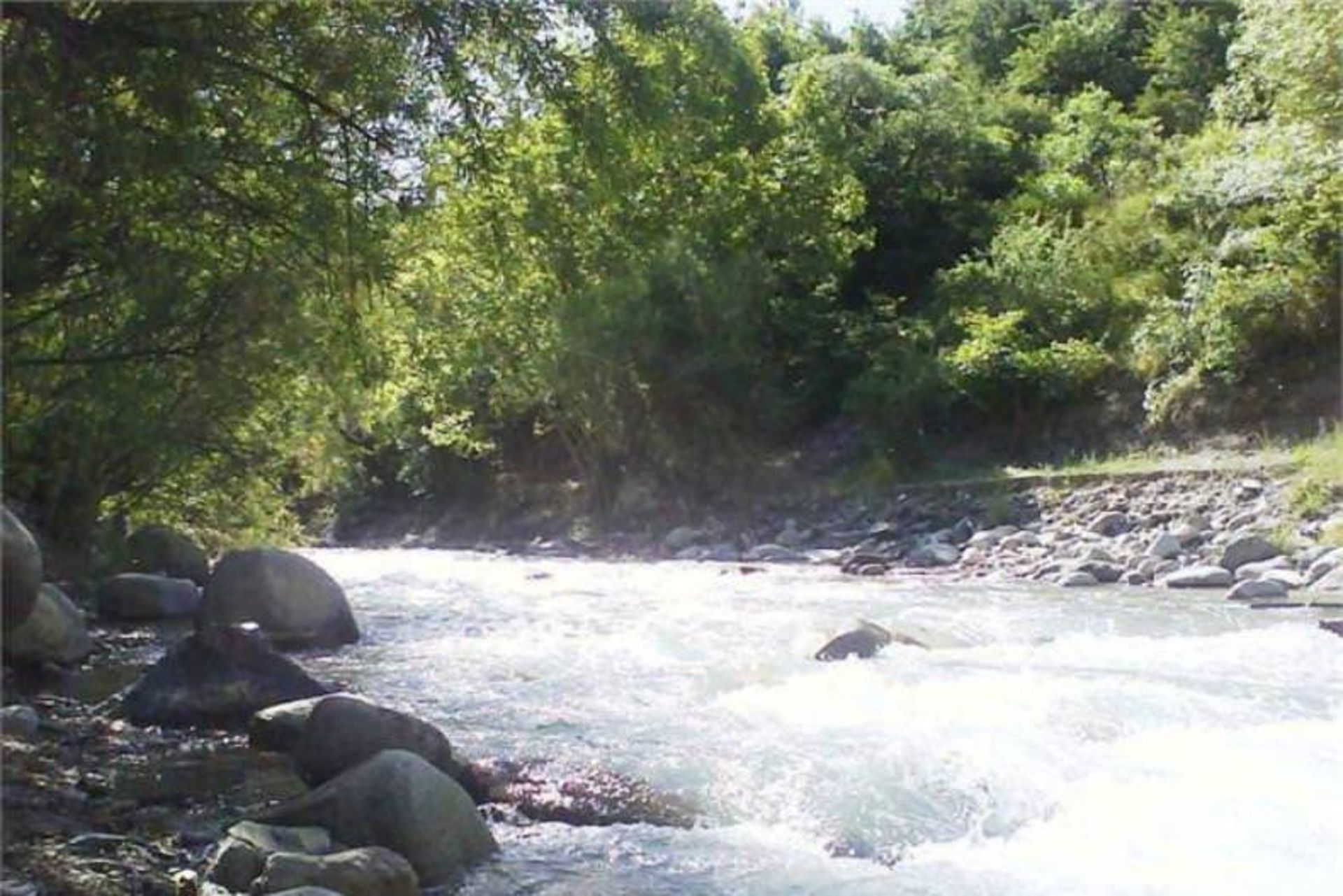 روستای کردان