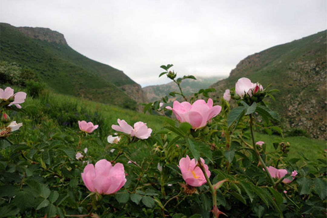 شهرستان مرند
