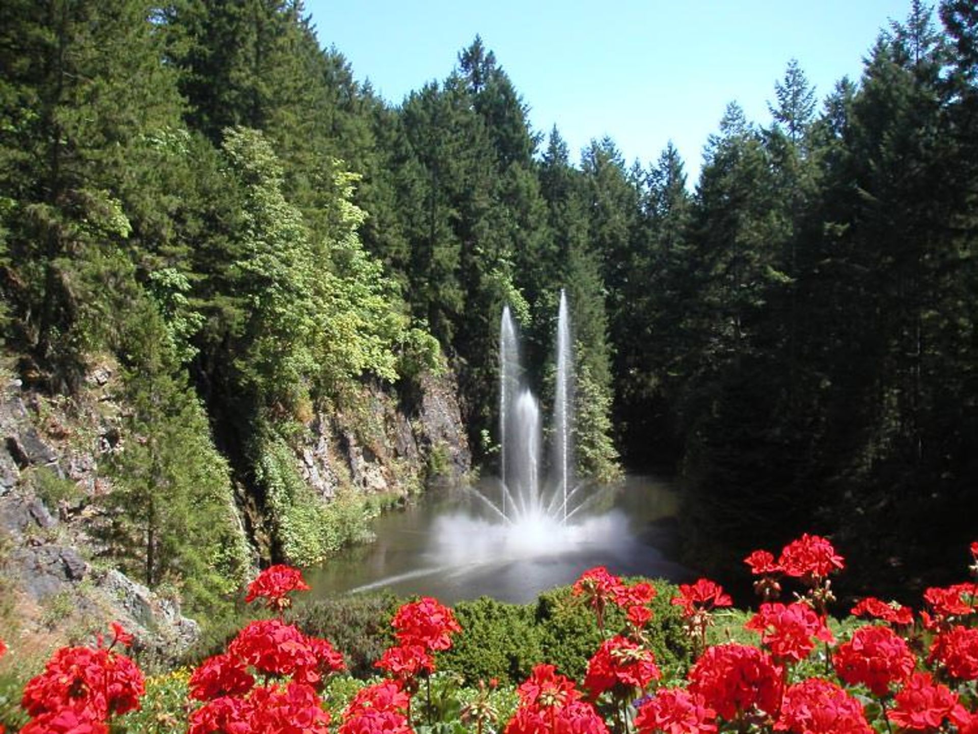 باغ زیبا
