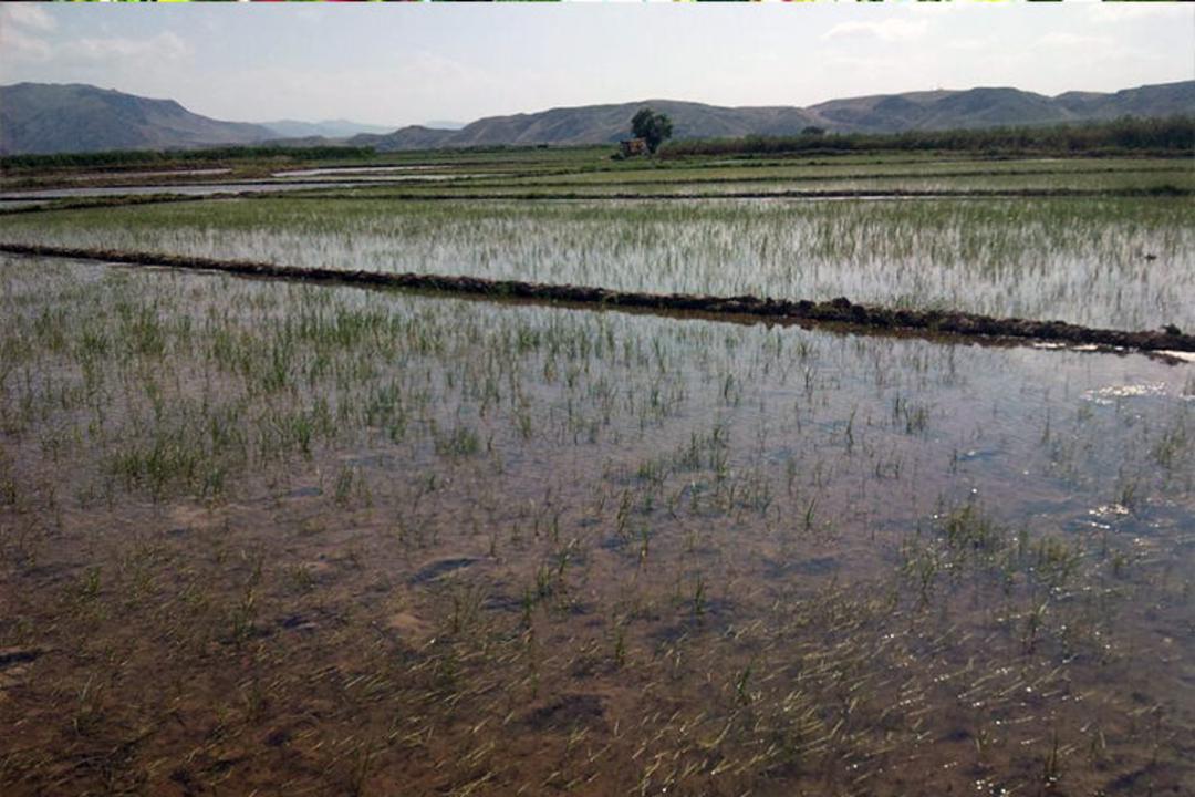 شهرستان میانه