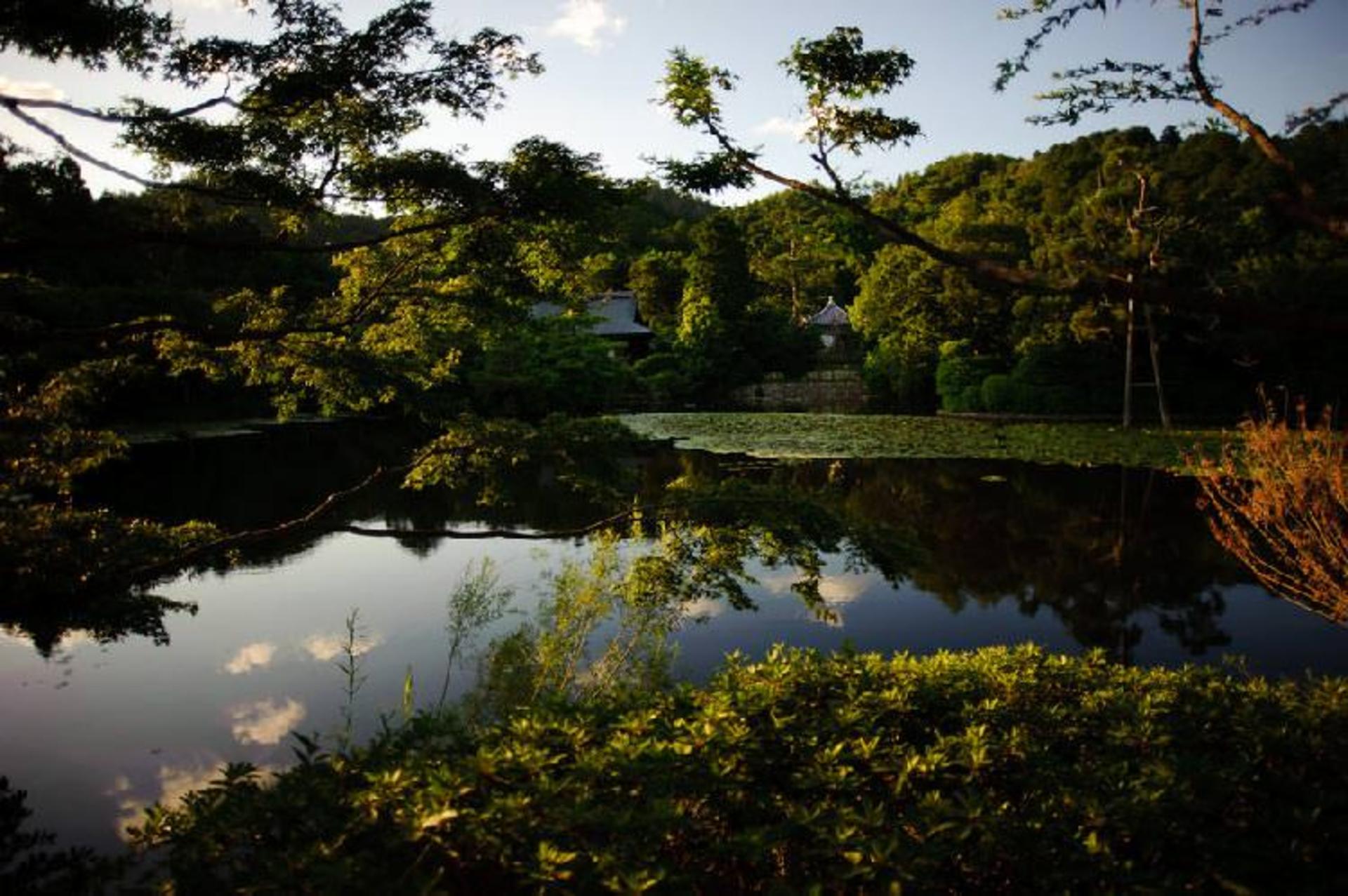 باغ زیبا