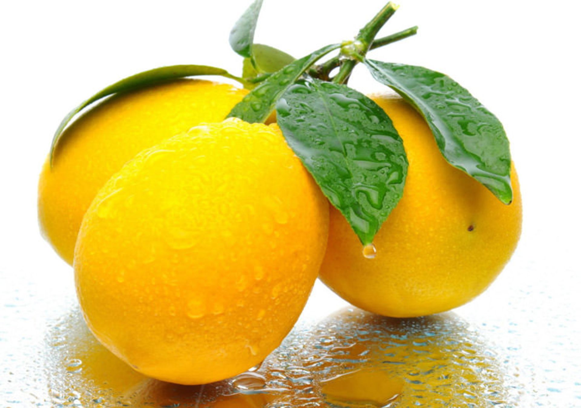 لیمو ترش
