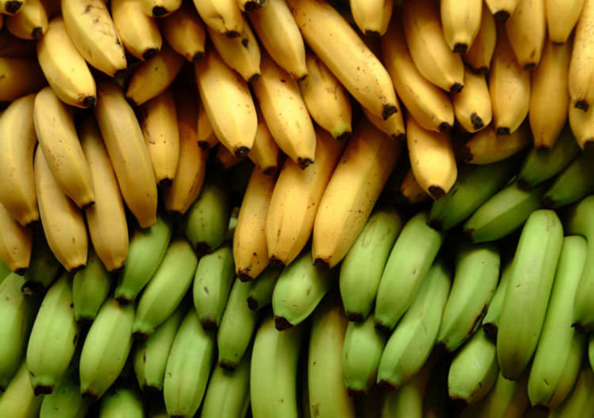 موز