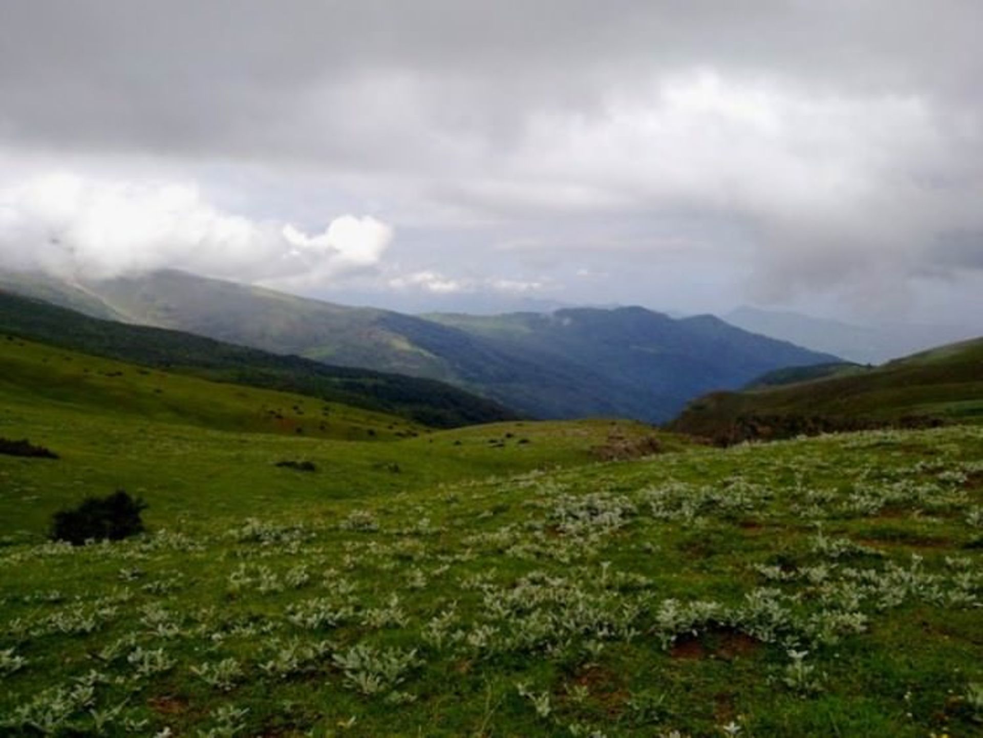 جواهردشت