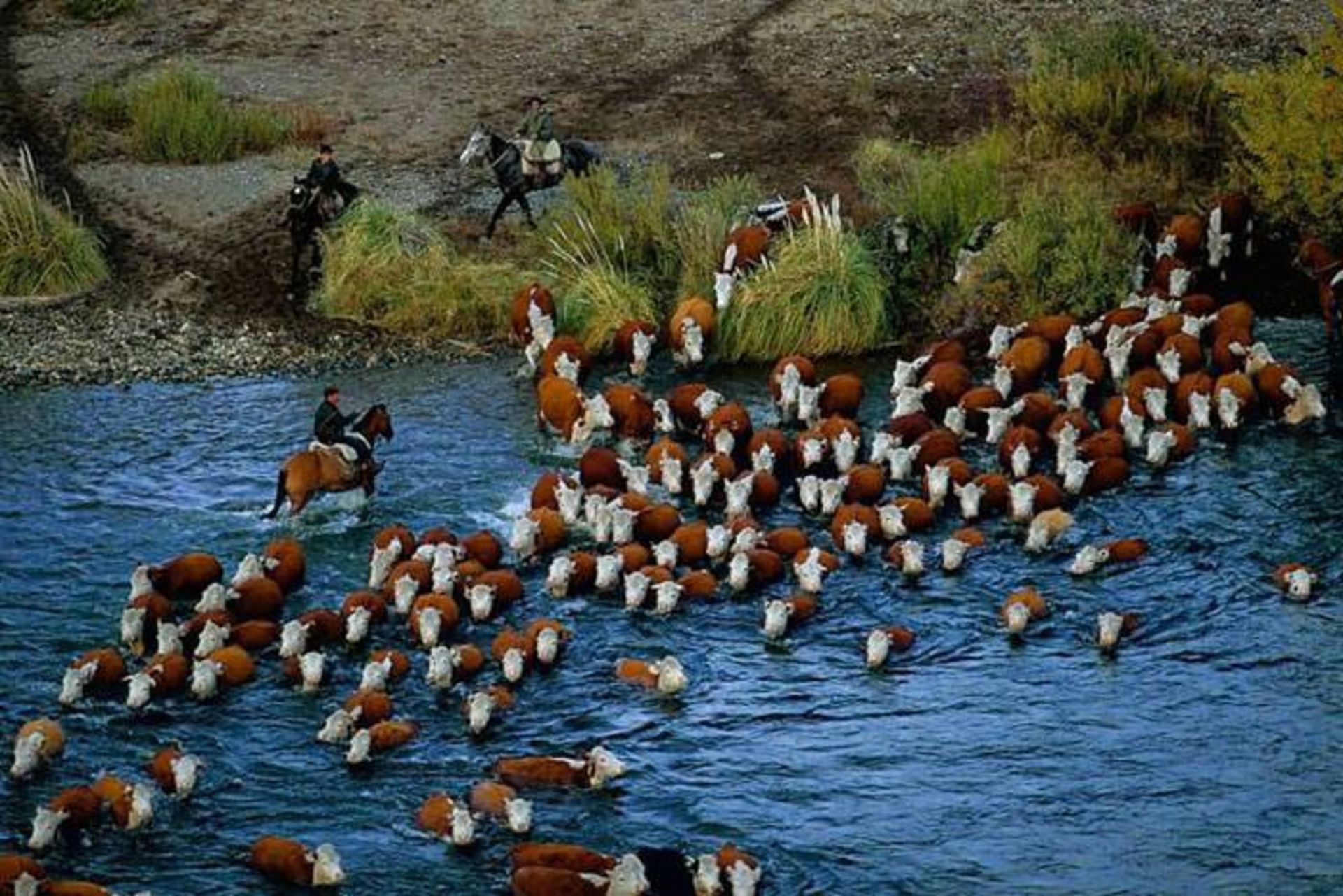 عکس هوایی از زمین