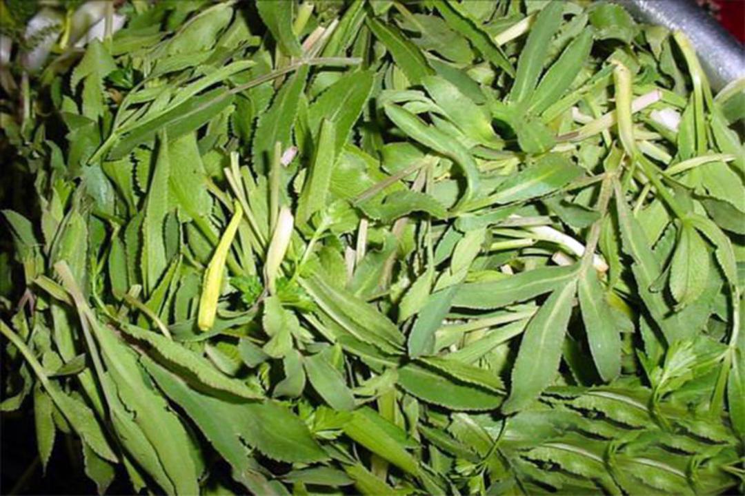 شهرستان میانه