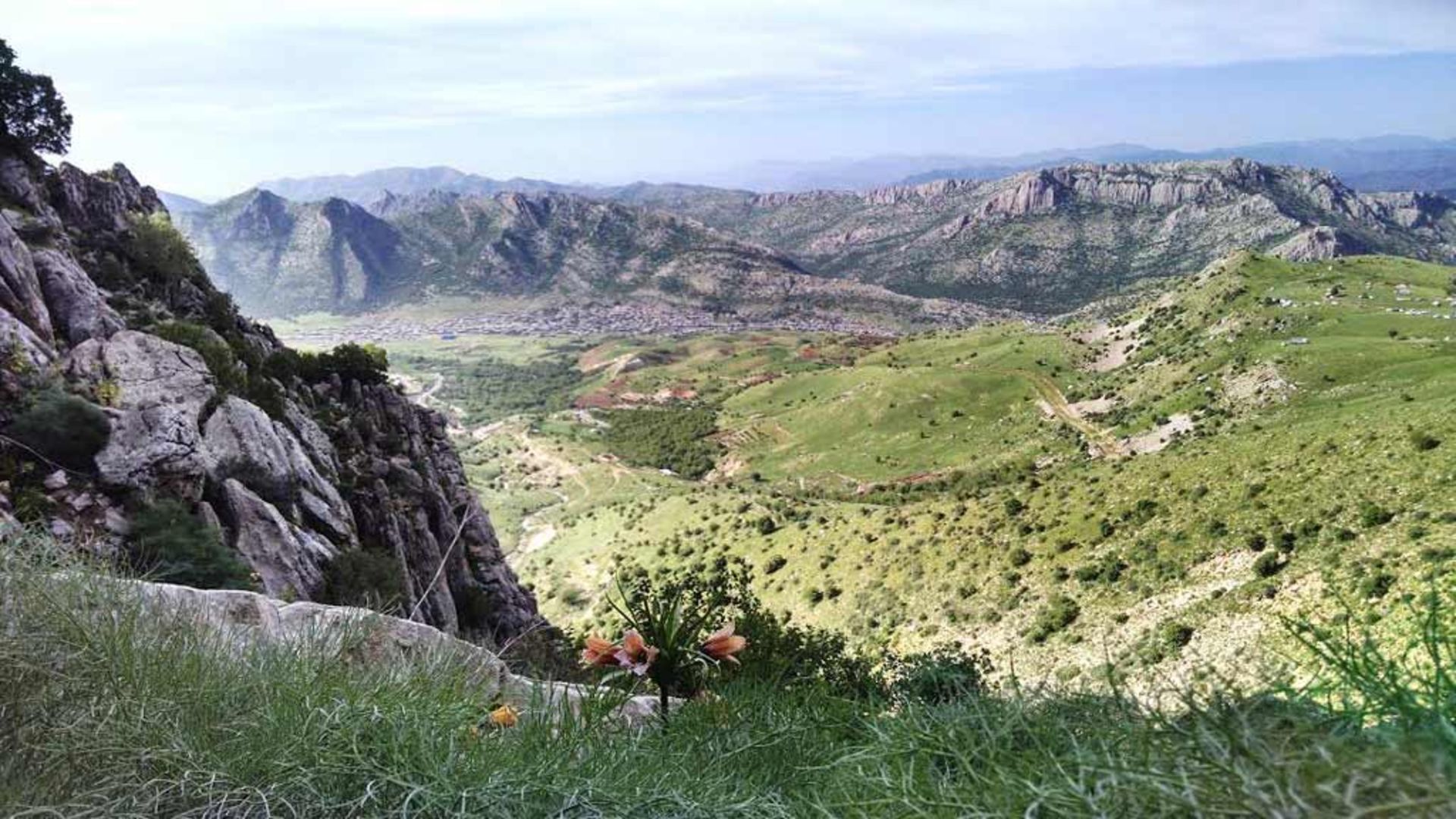 عکاسباشی