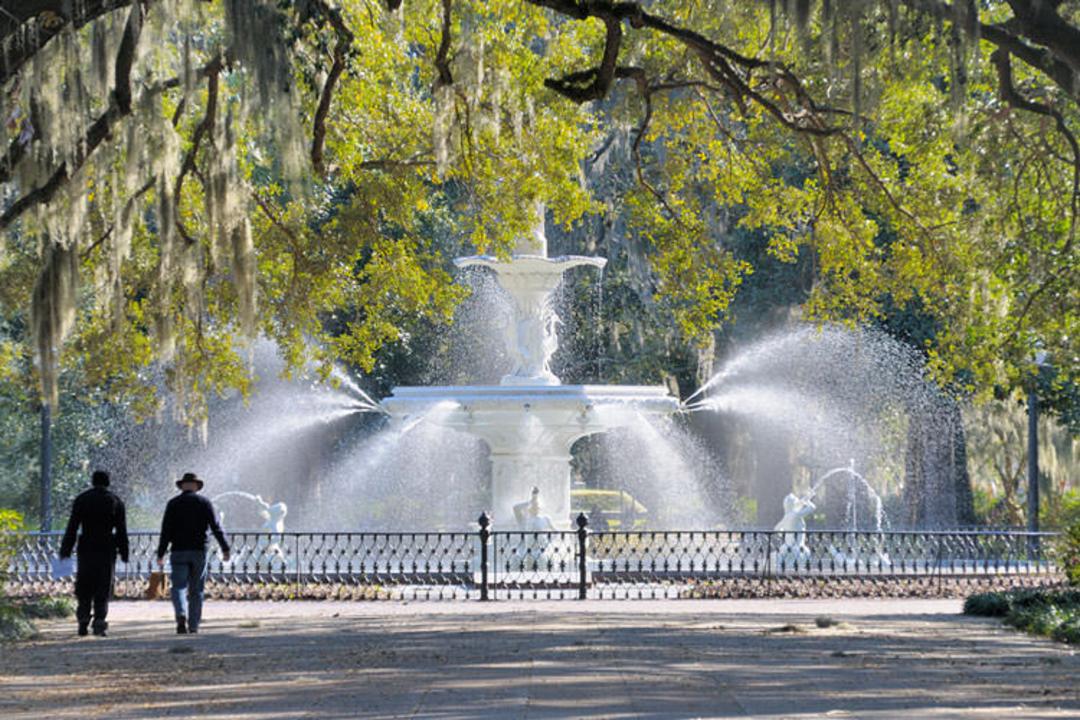 savannah