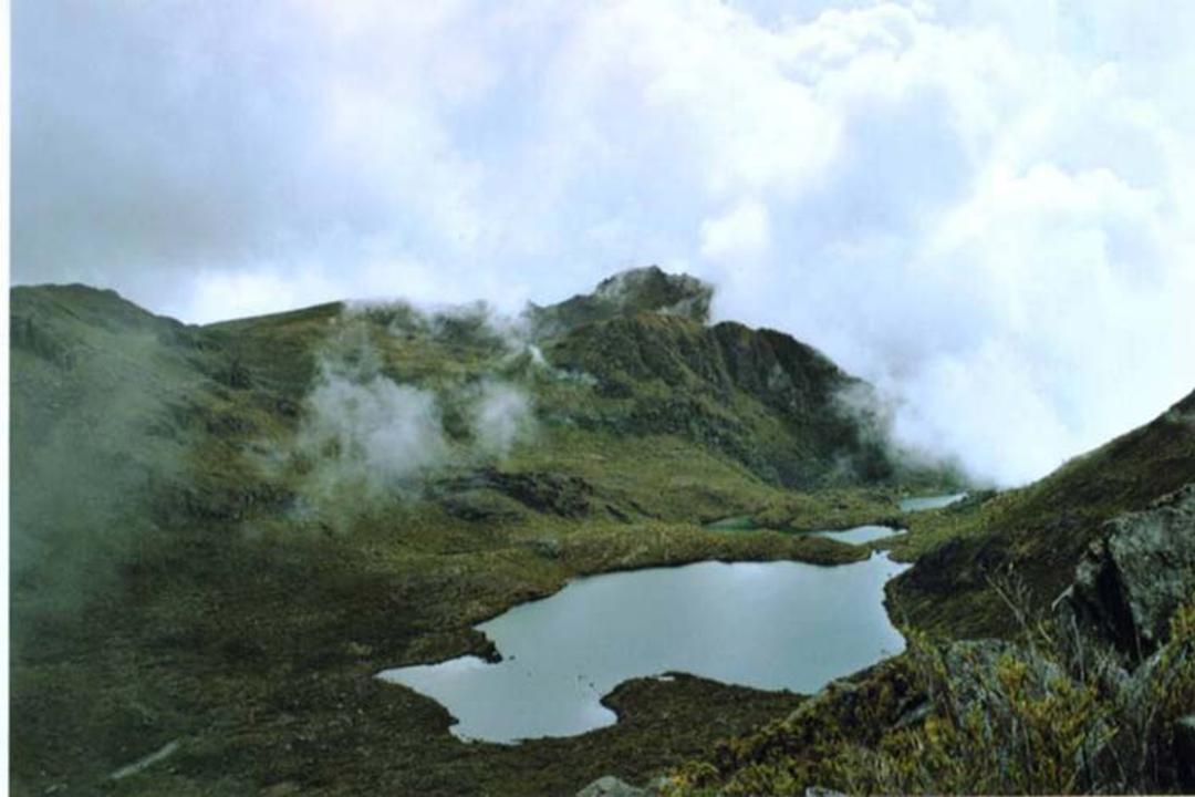 راهنمای سفر به سن خوزه، کاستاریکا