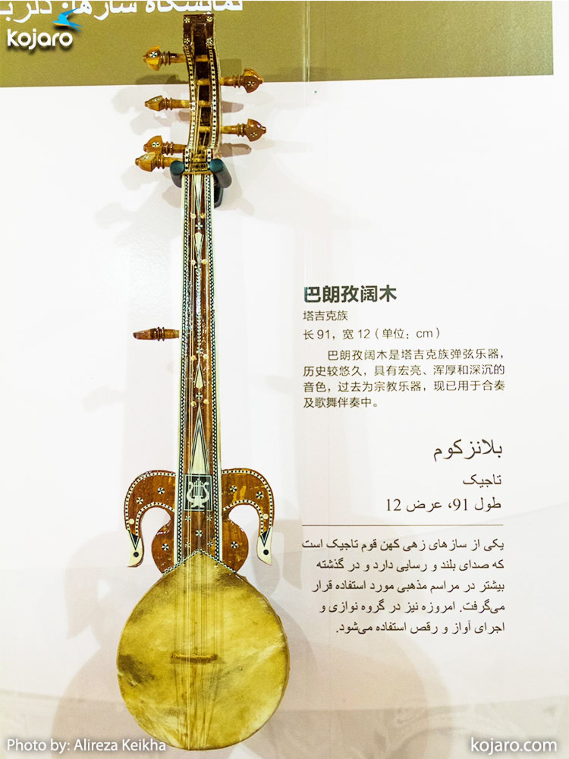 سازهای چین غربی