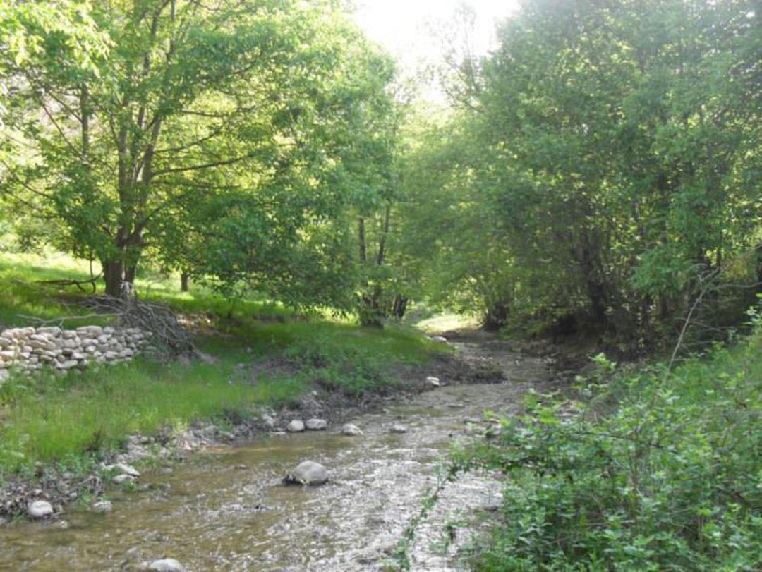 روستای درکش