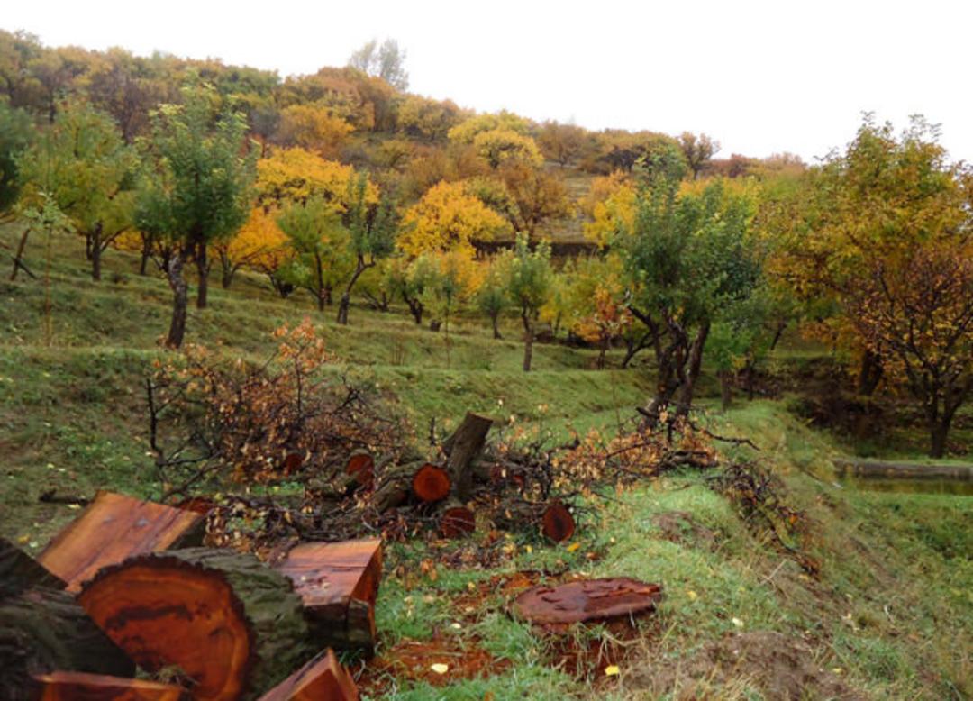روستای زنوزق