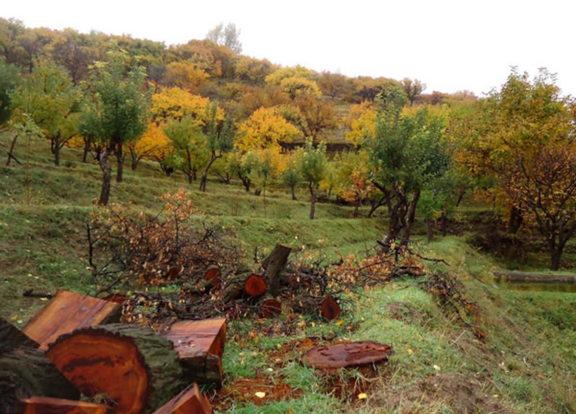 روستای زنوزق