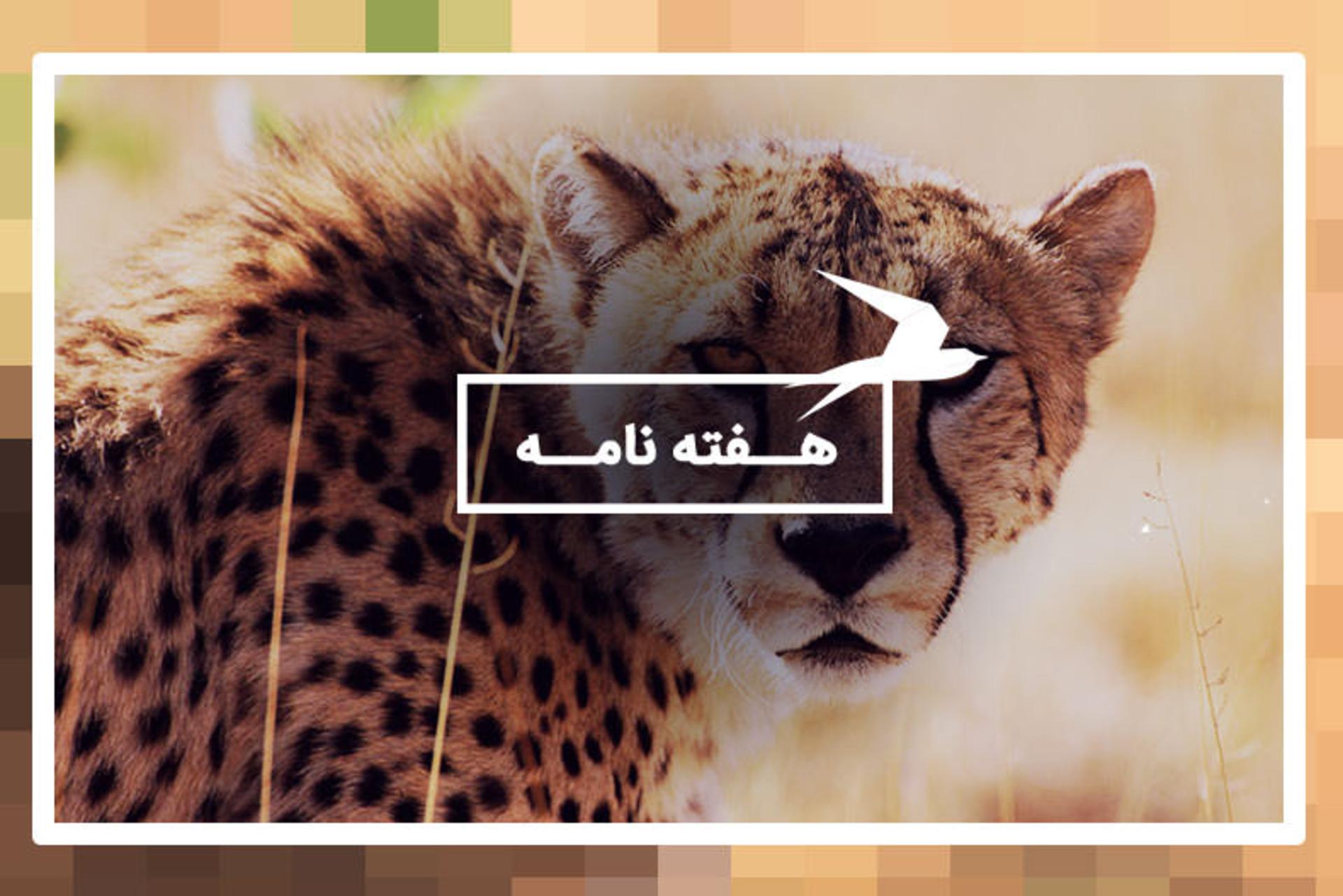 هفته نامه کجارو