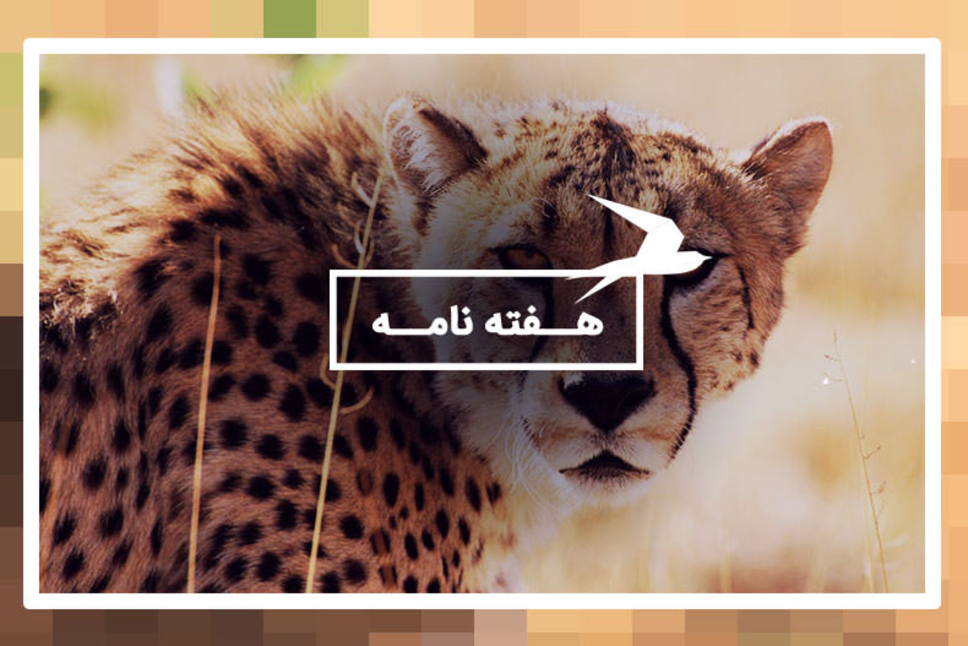 هفته نامه کجارو