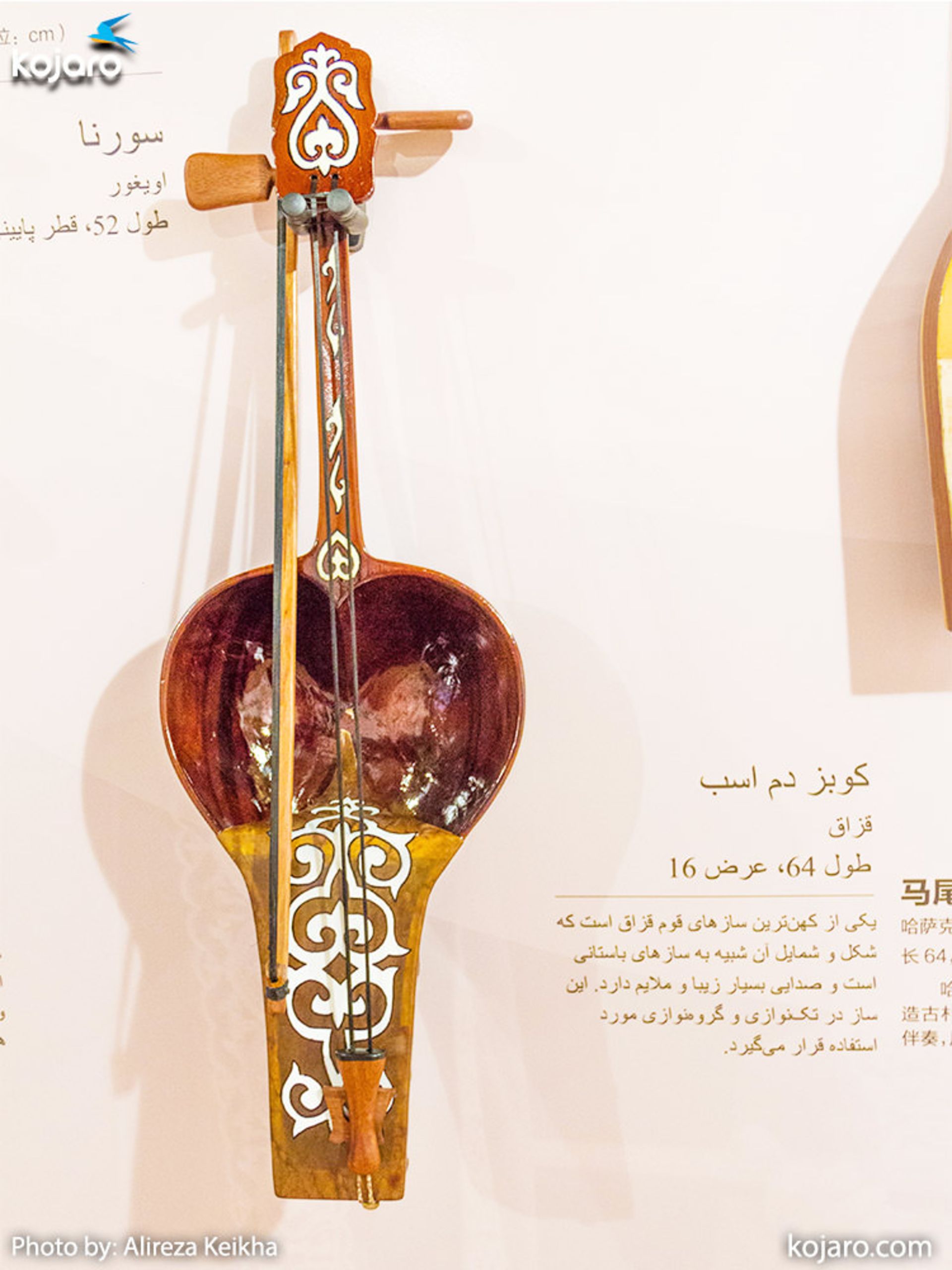 سازهای چین غربی
