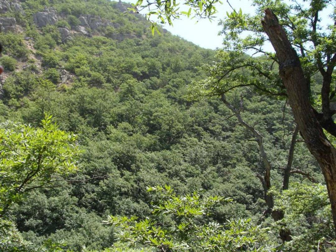 روستای درکش