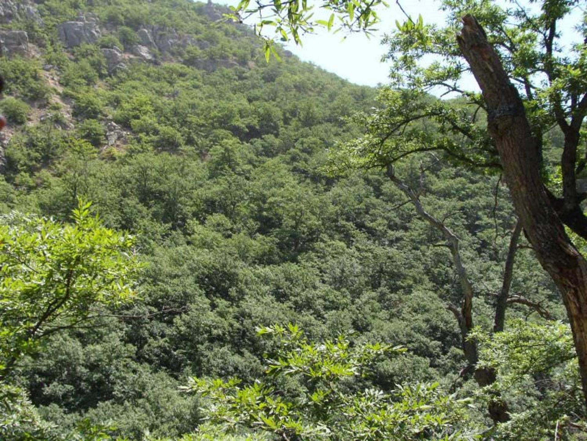 روستای درکش