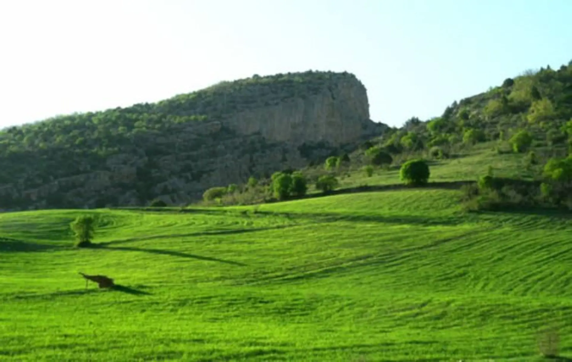 روستای درکش