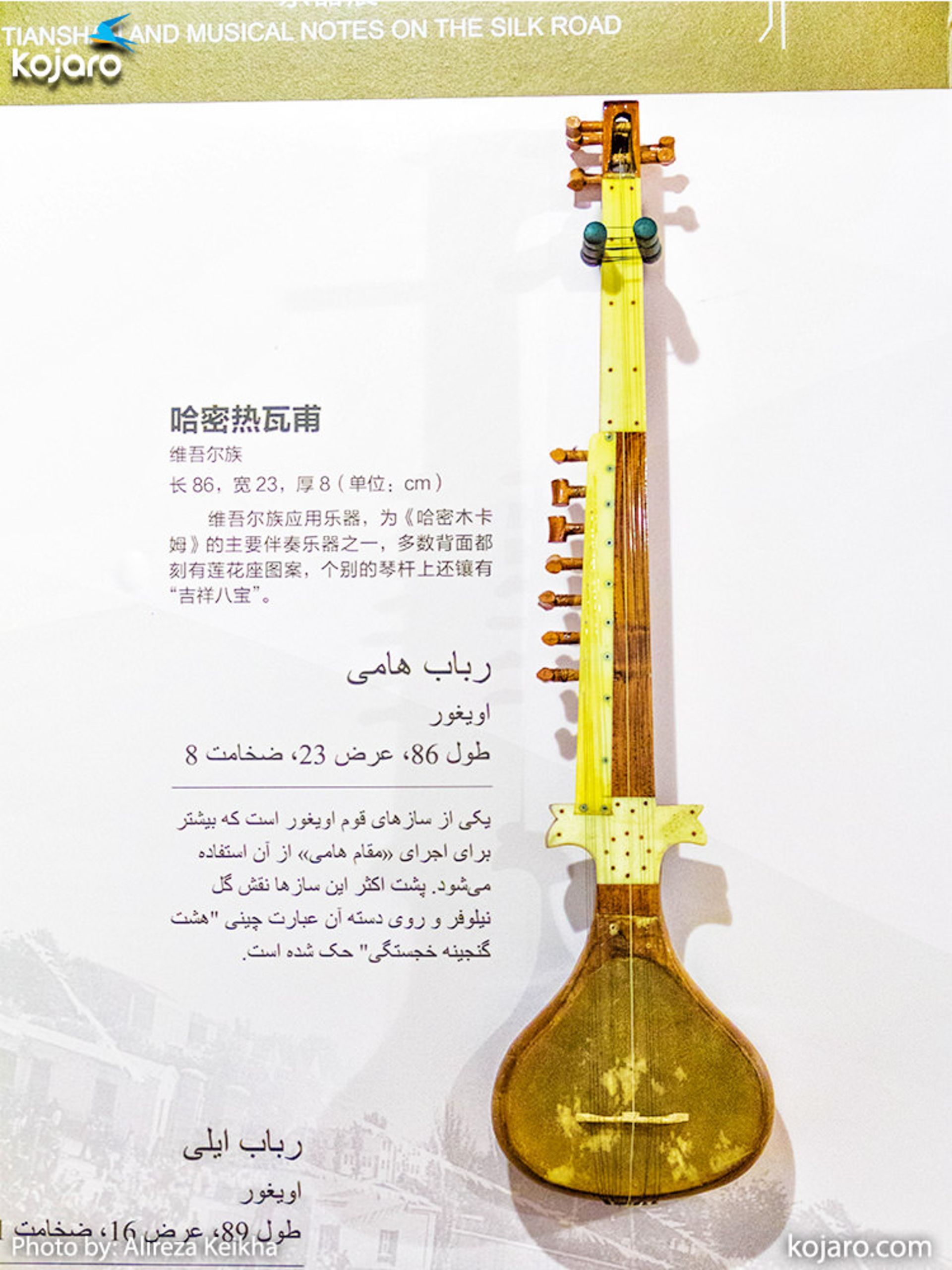 سازهای سنتی چین غربی