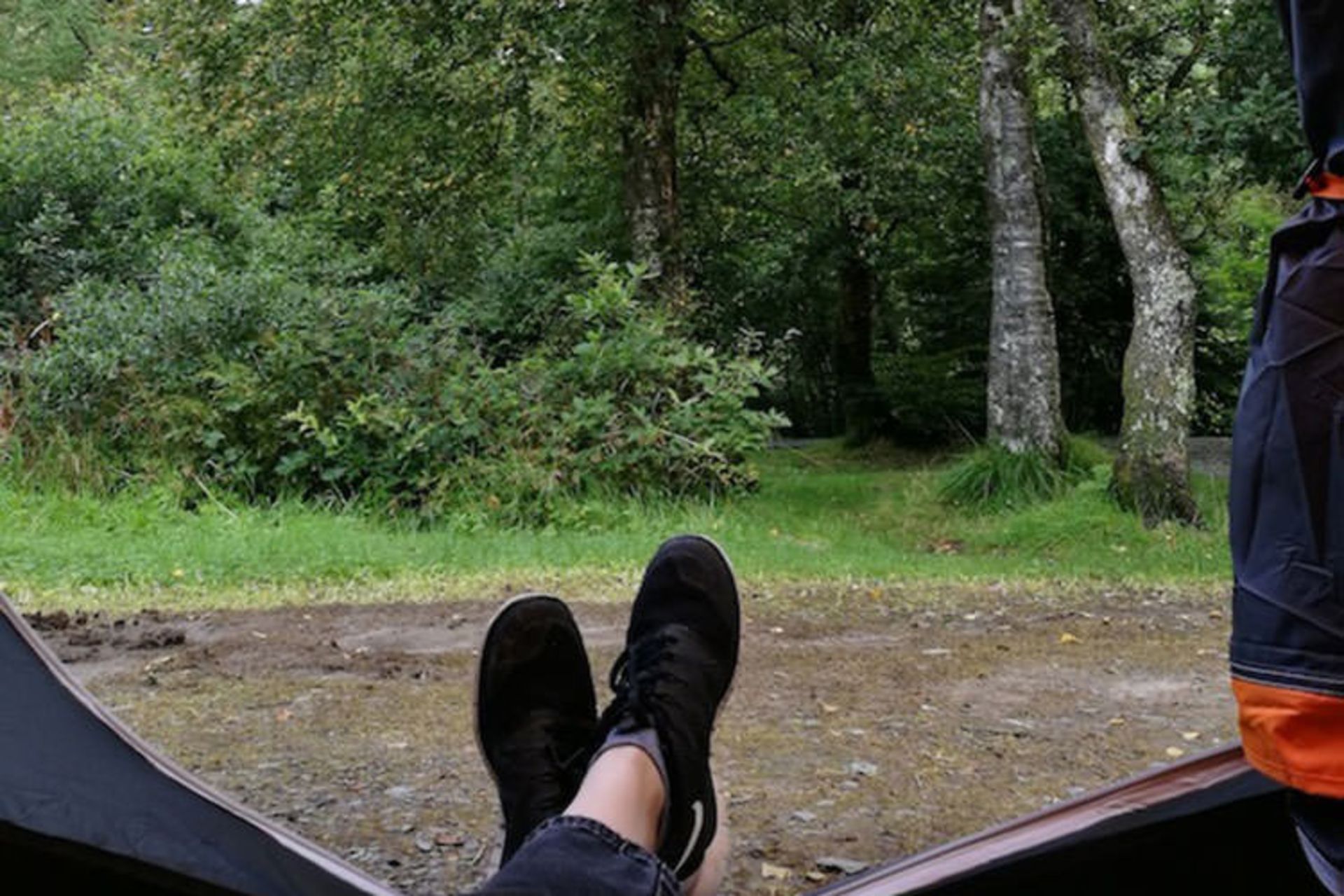 Camping in the Forest