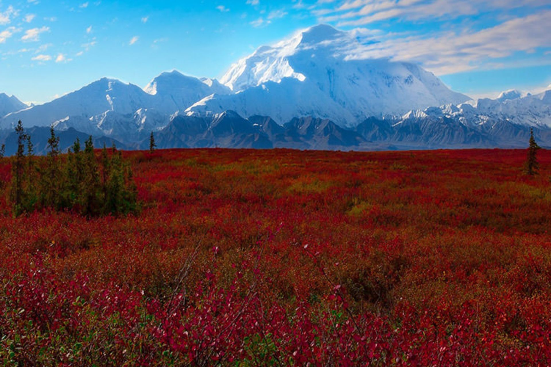 پارک ملی دنالی