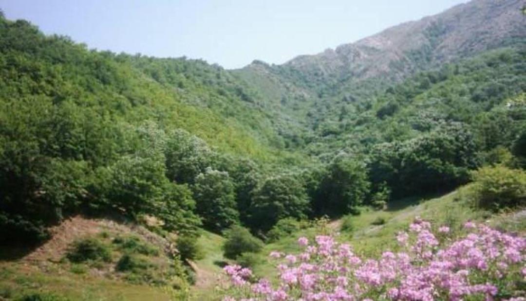 روستای درکش