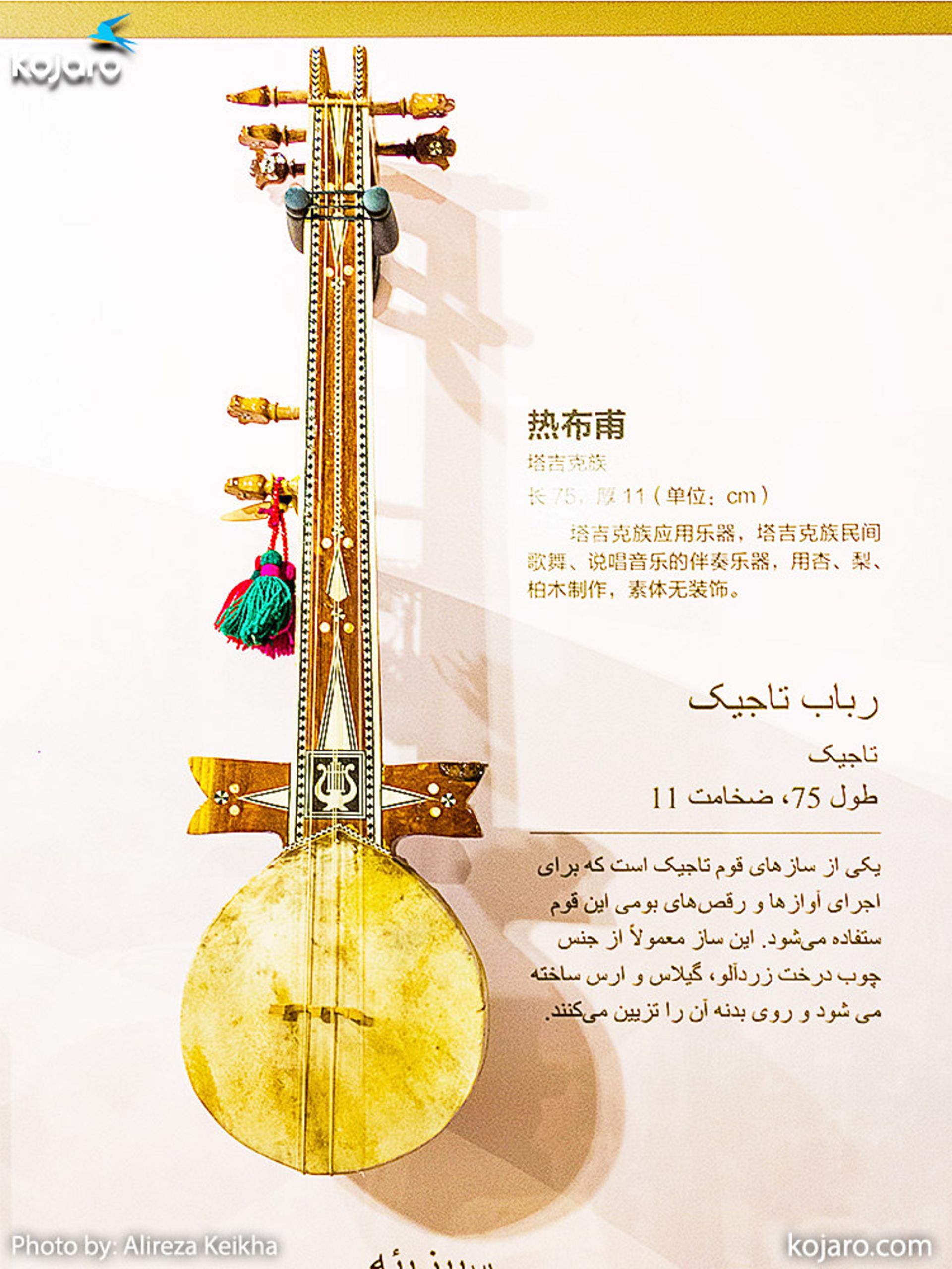 سازهای چین غربی