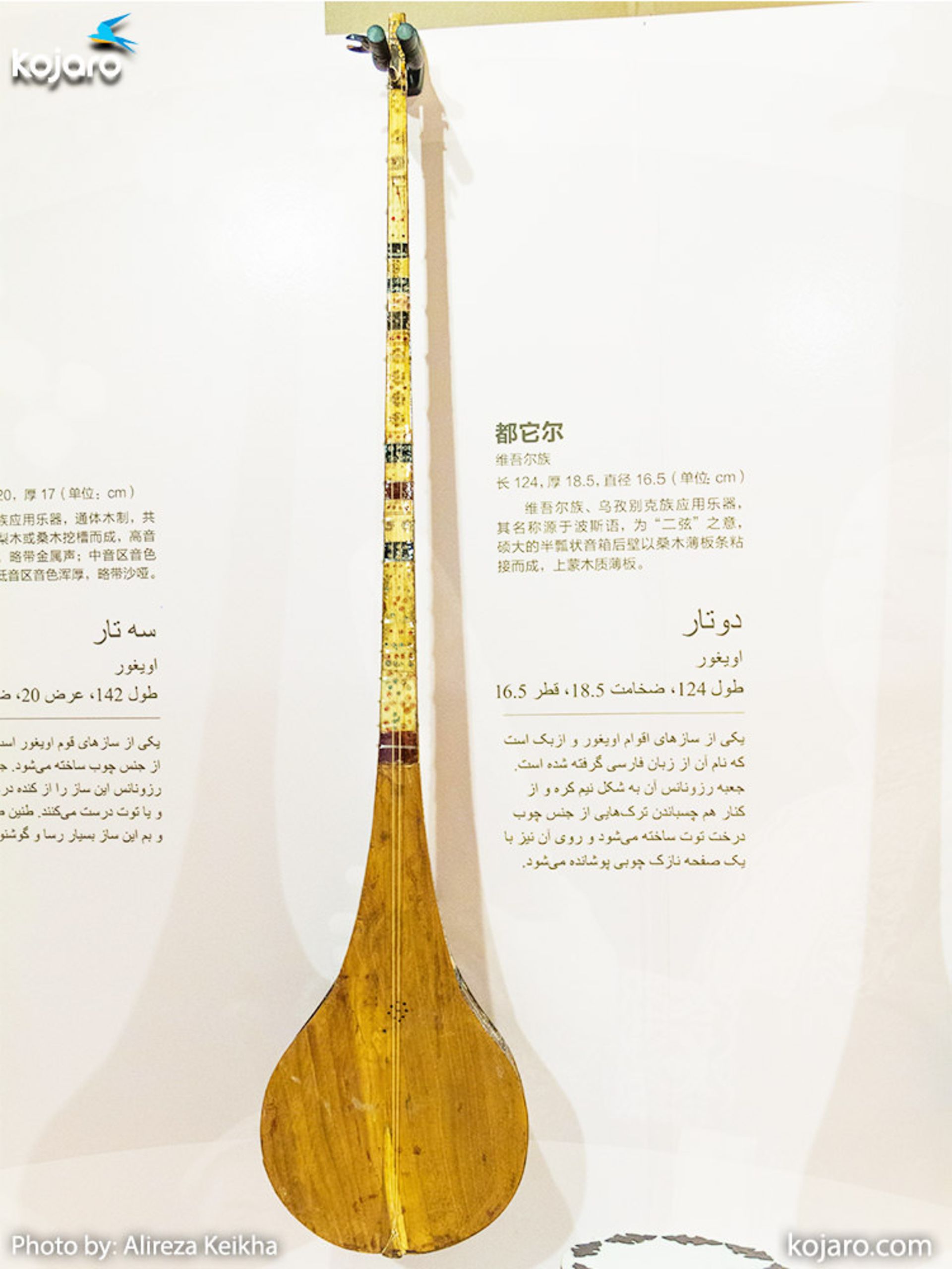 سازهای چین غربی
