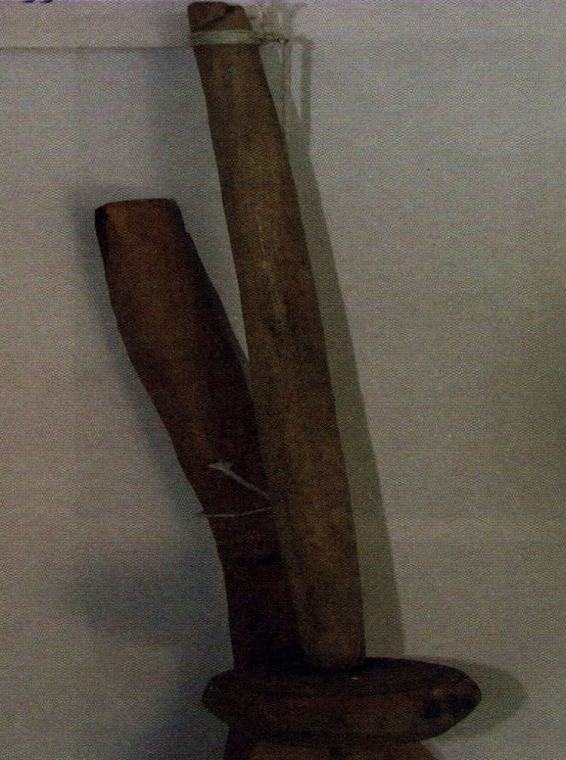 دوک ریس یا تشی ریسی