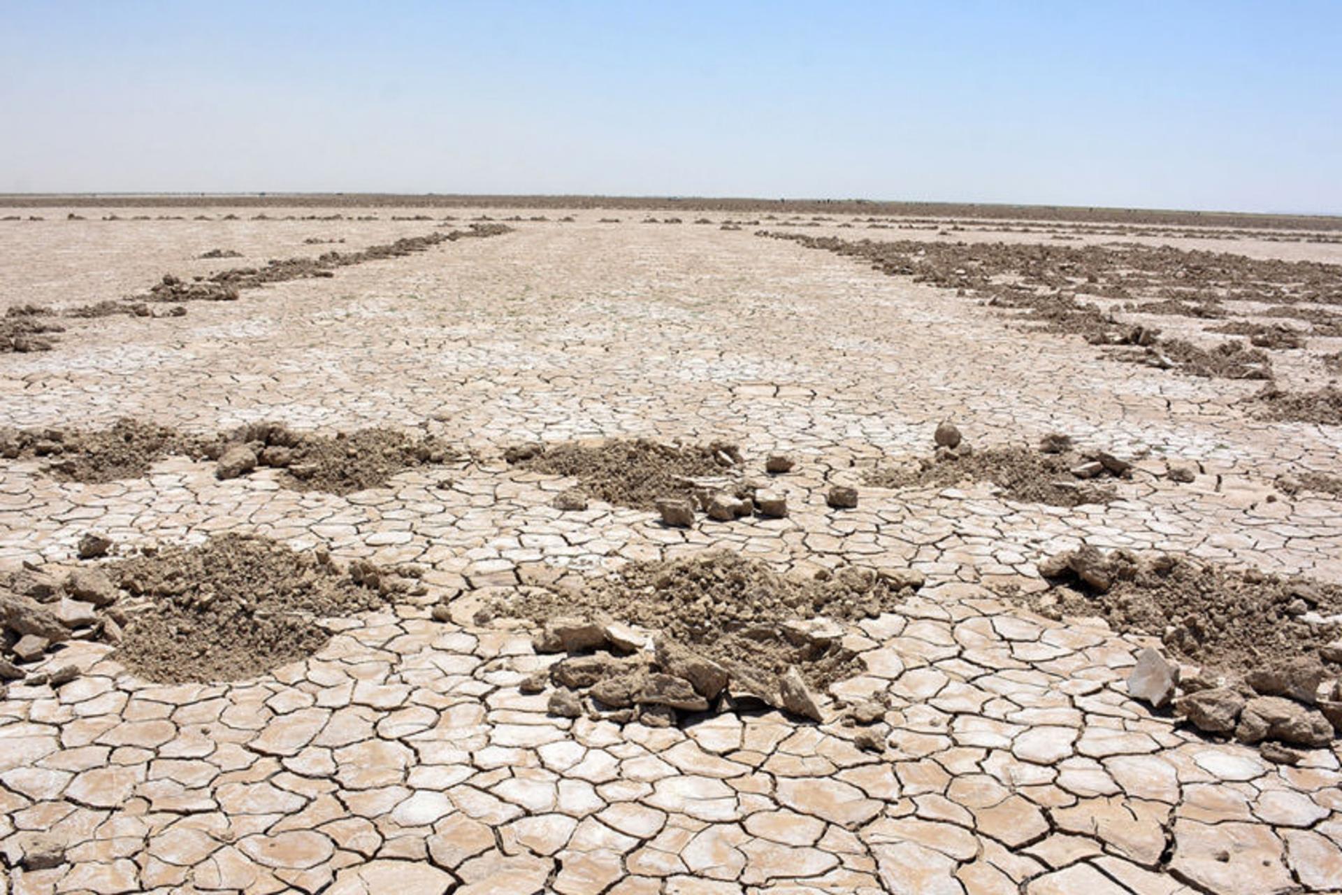 تالاب هامون