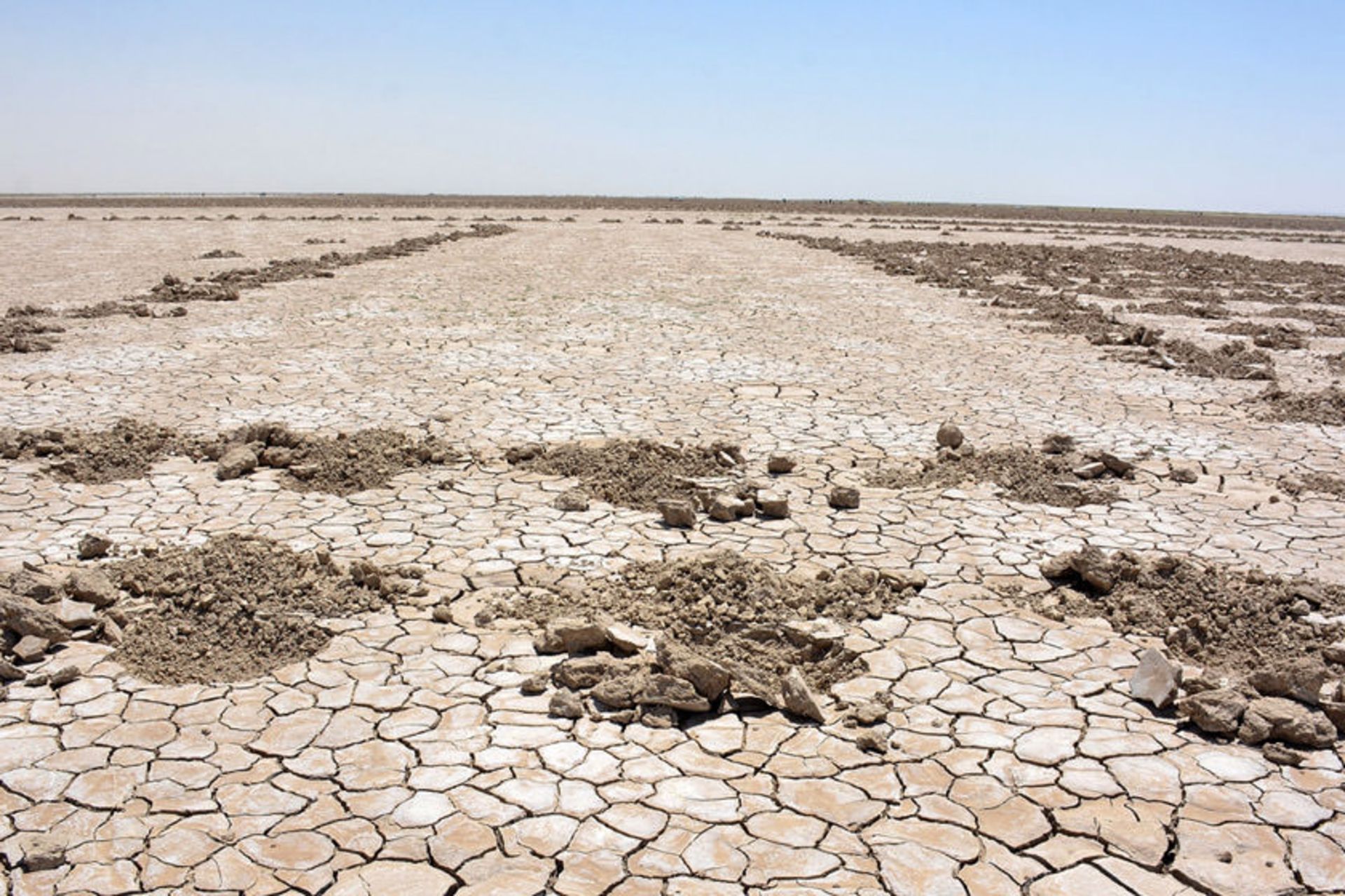 تالاب هامون