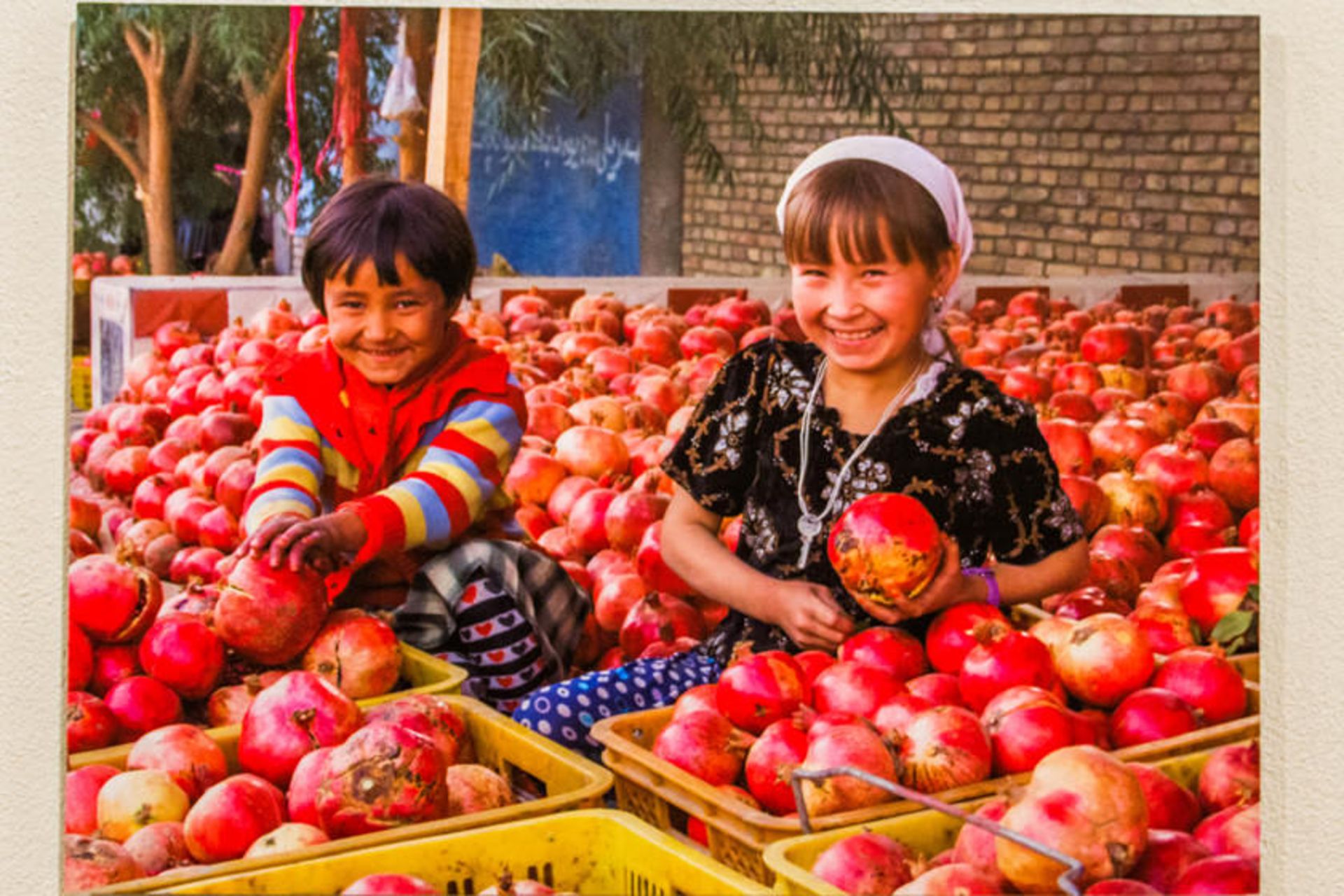 عکس‌ های چین غربی - فرهنگسرای نیاوران