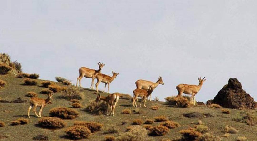 روستای درکش