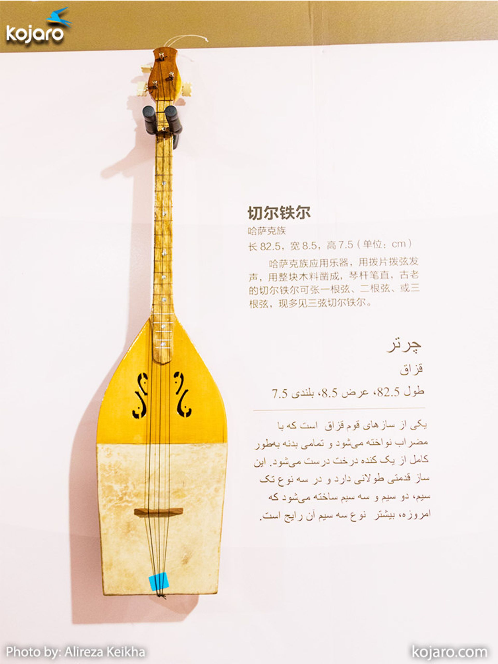 سازهای چین غربی