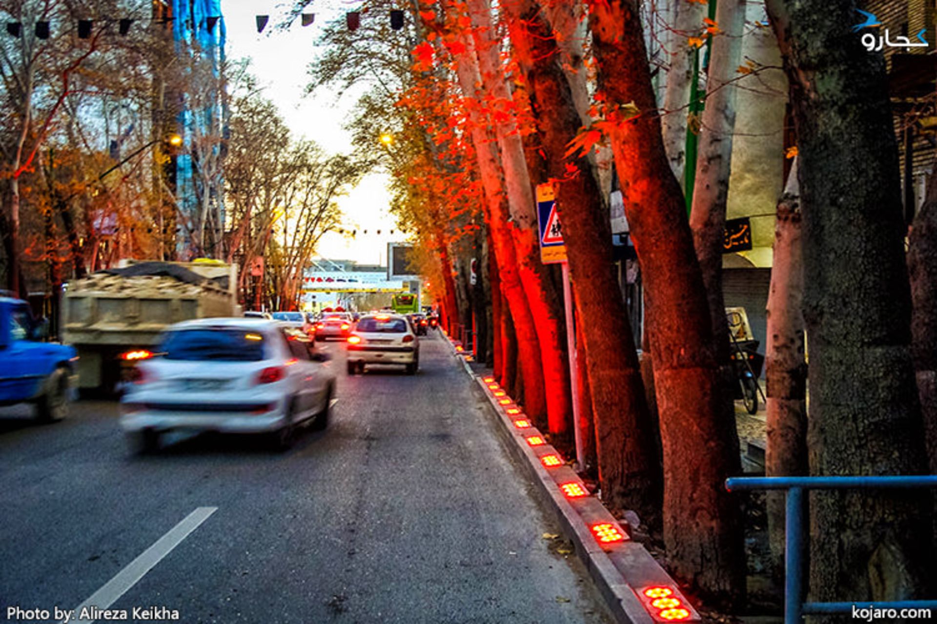 چنارهای خیابان ولیعصر