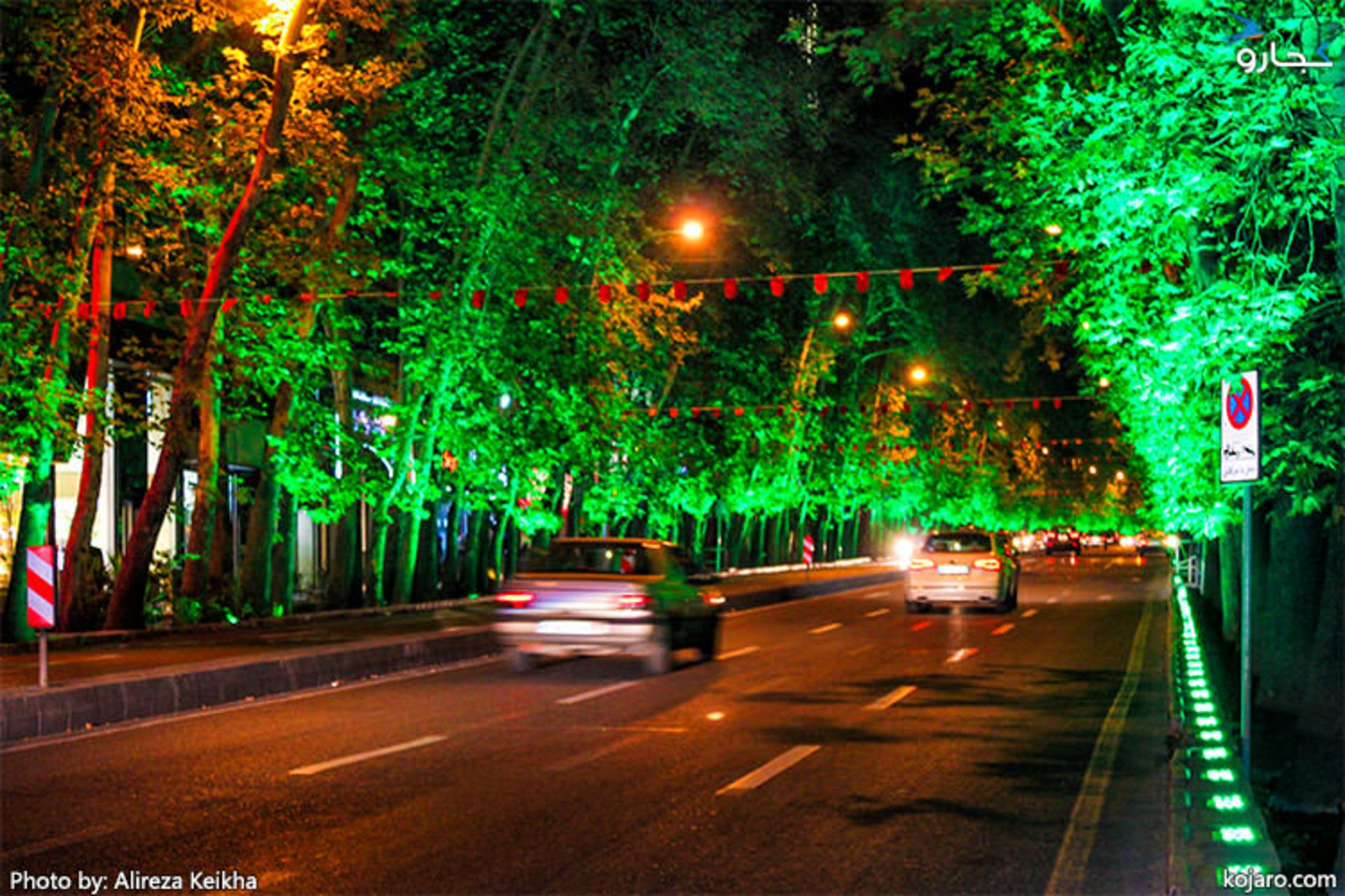 چنارهای خیابان ولیعصر