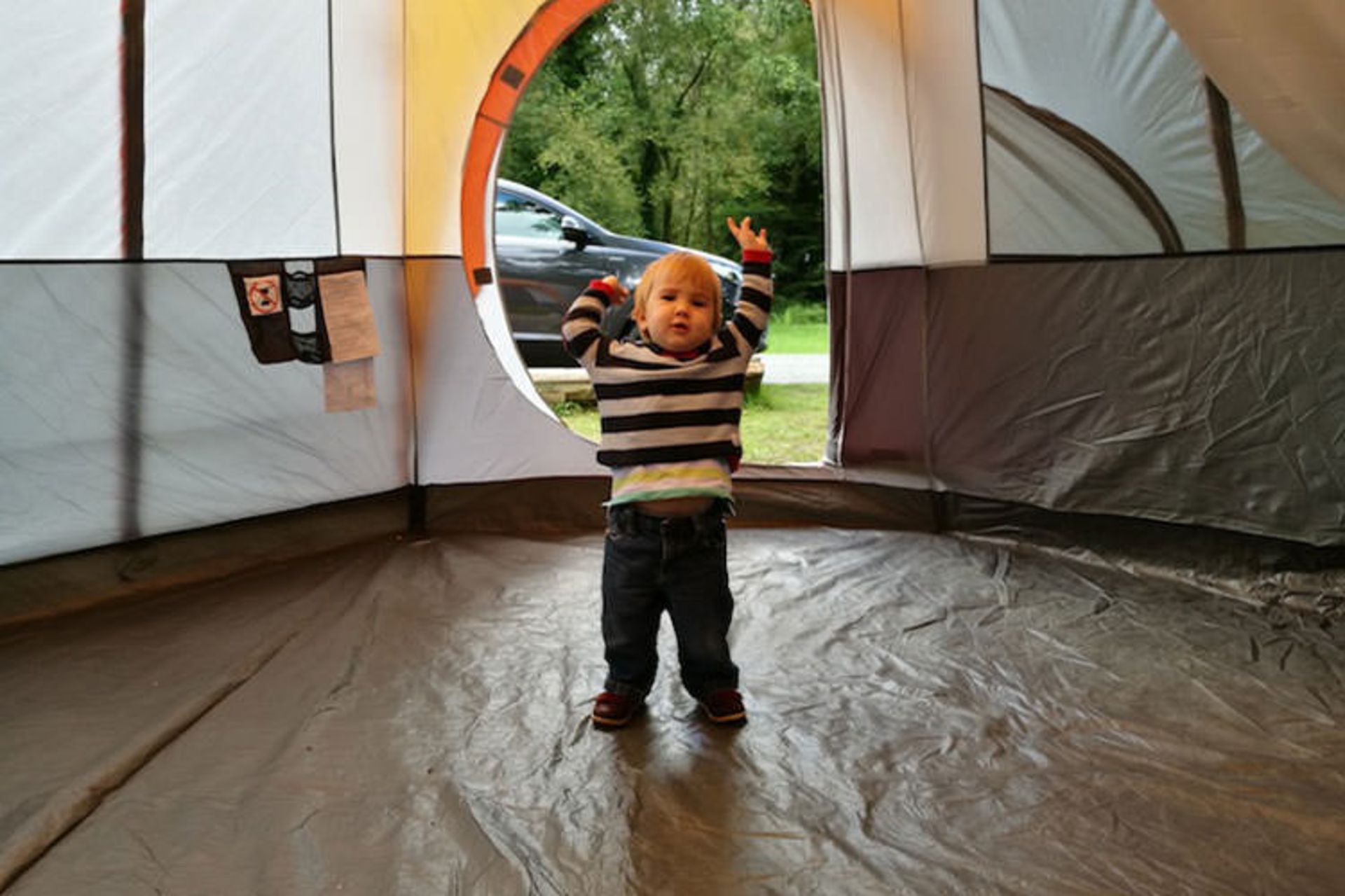Camping in the Forest