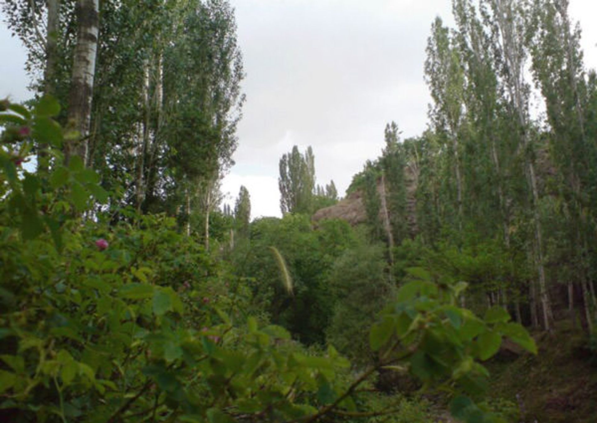 روستای مجارشین