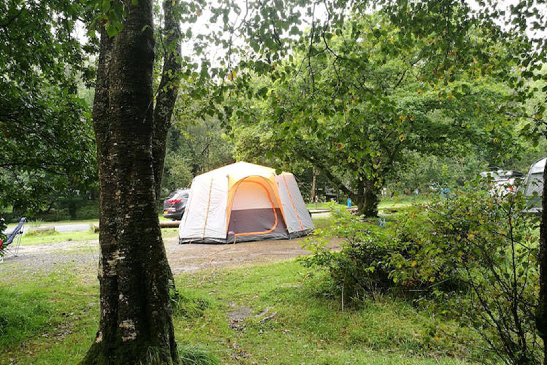 Camping in the Forest