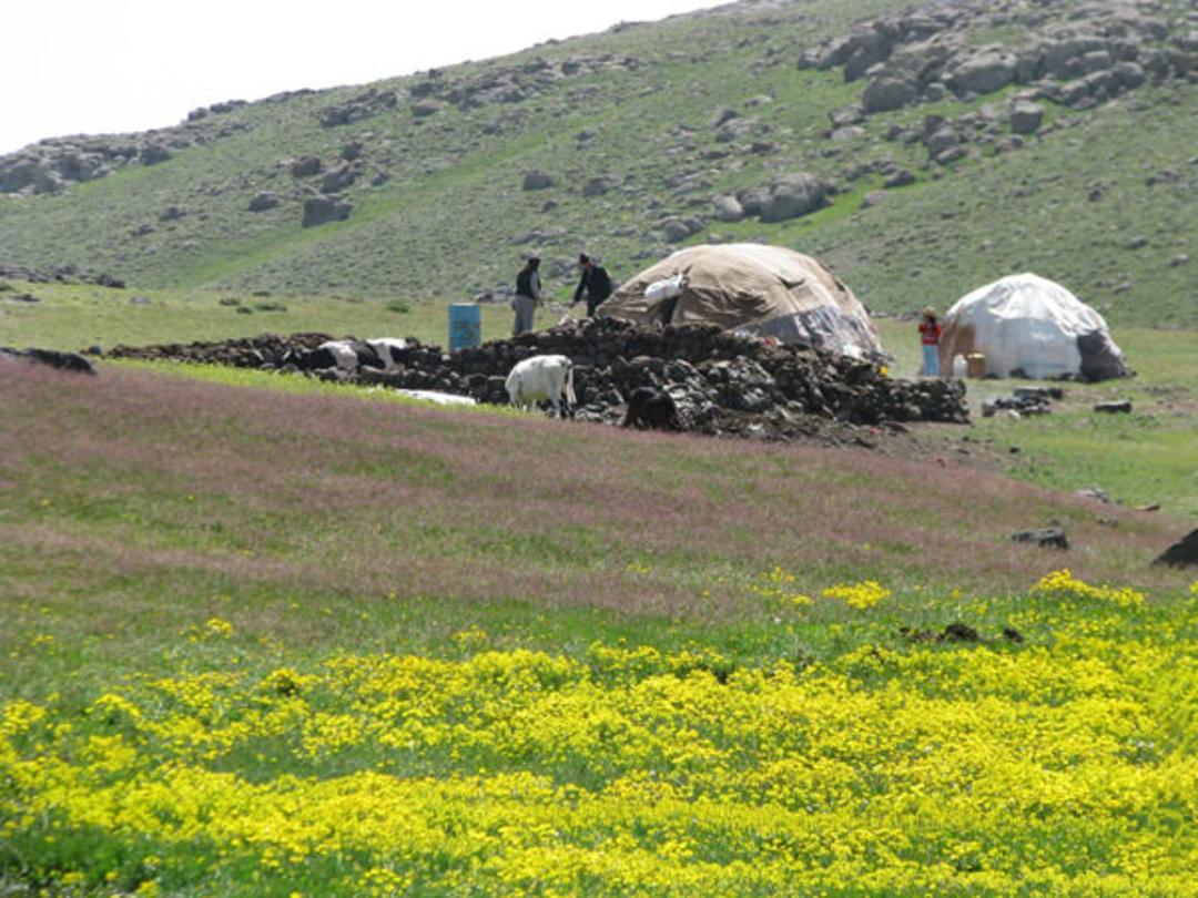 گردشگری عشایری