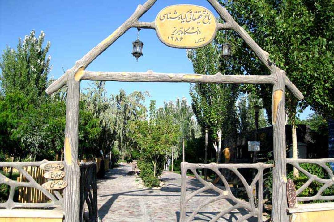 دانشگاه تبریز