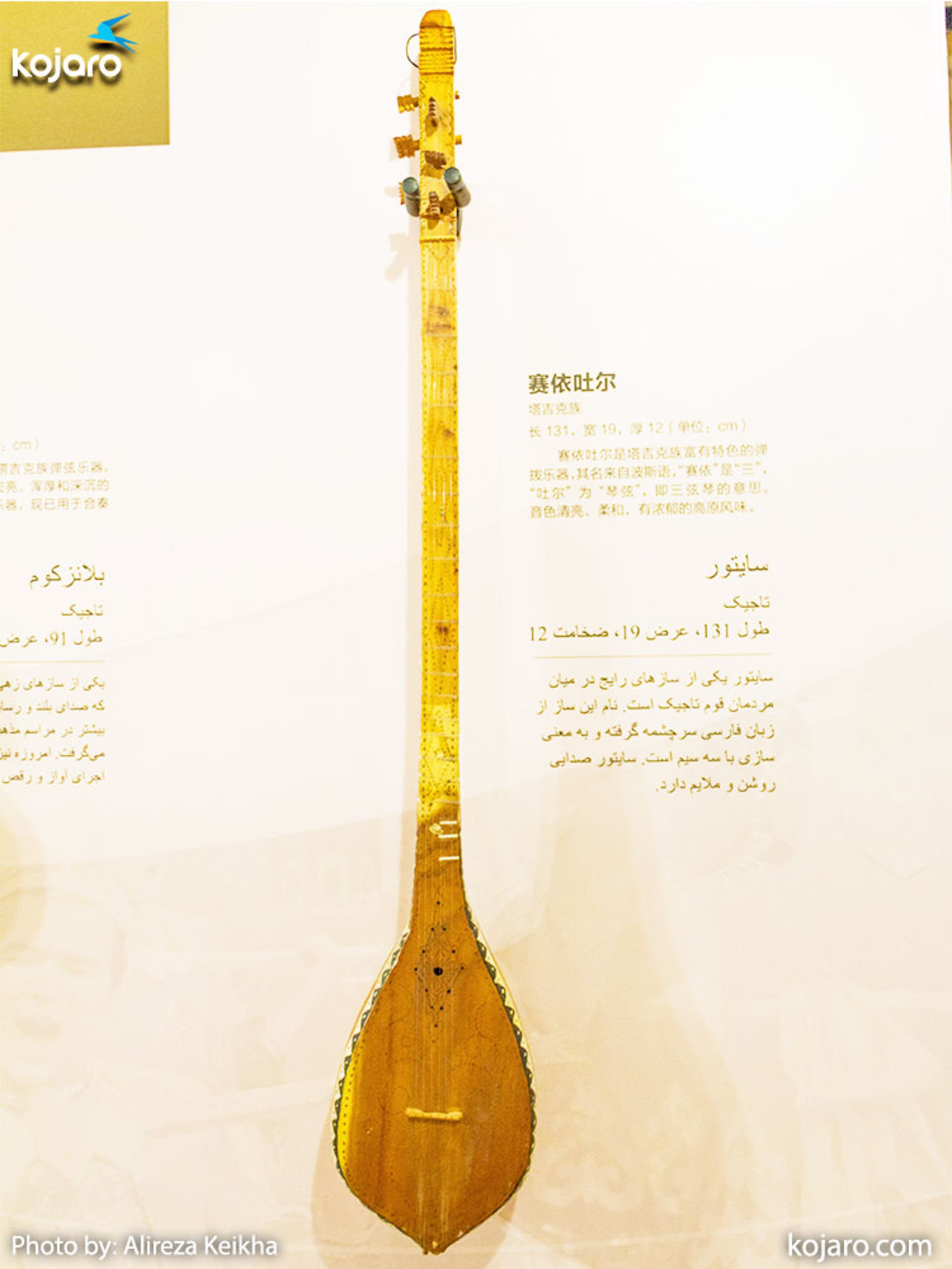 سازهای چین غربی